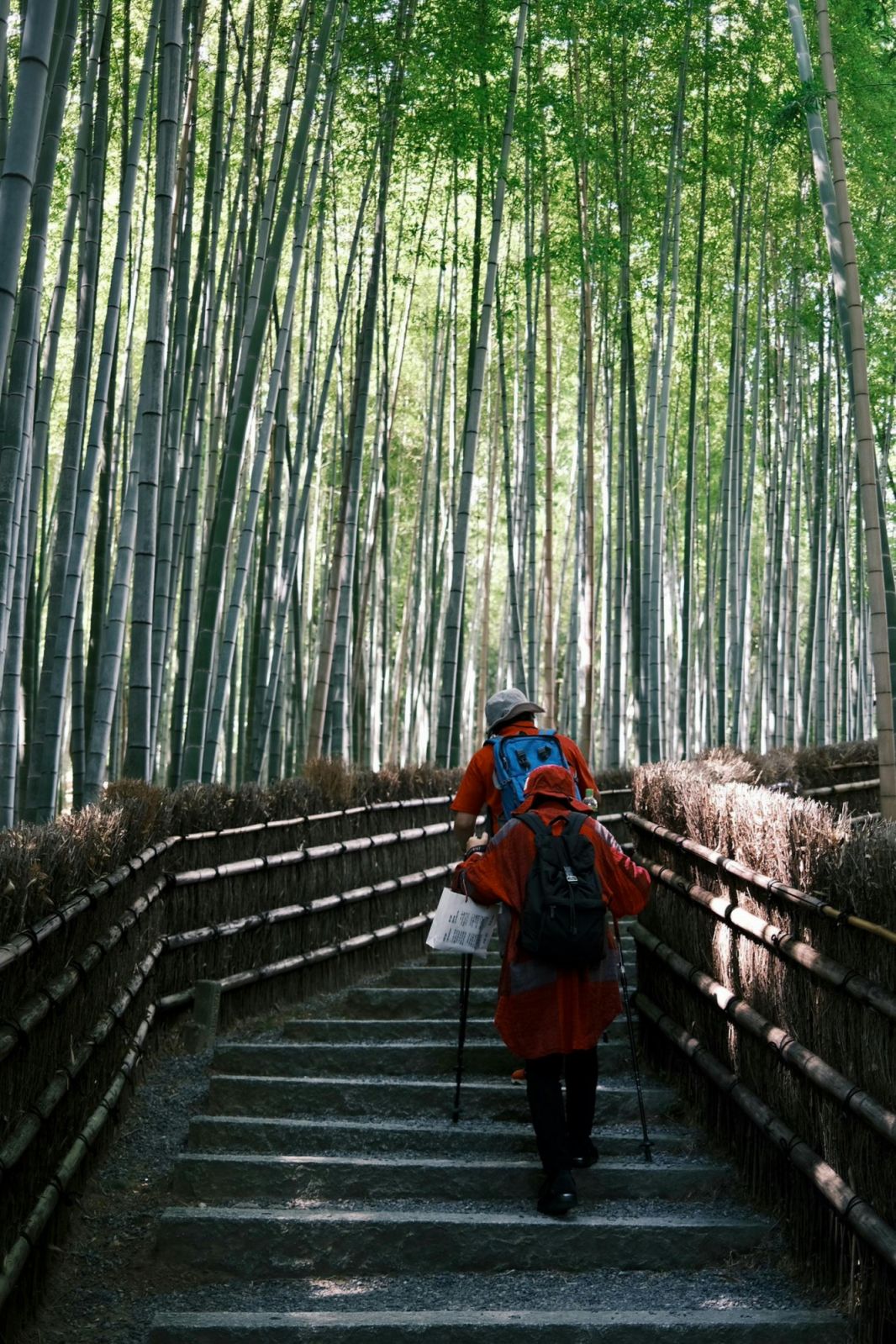 hiking