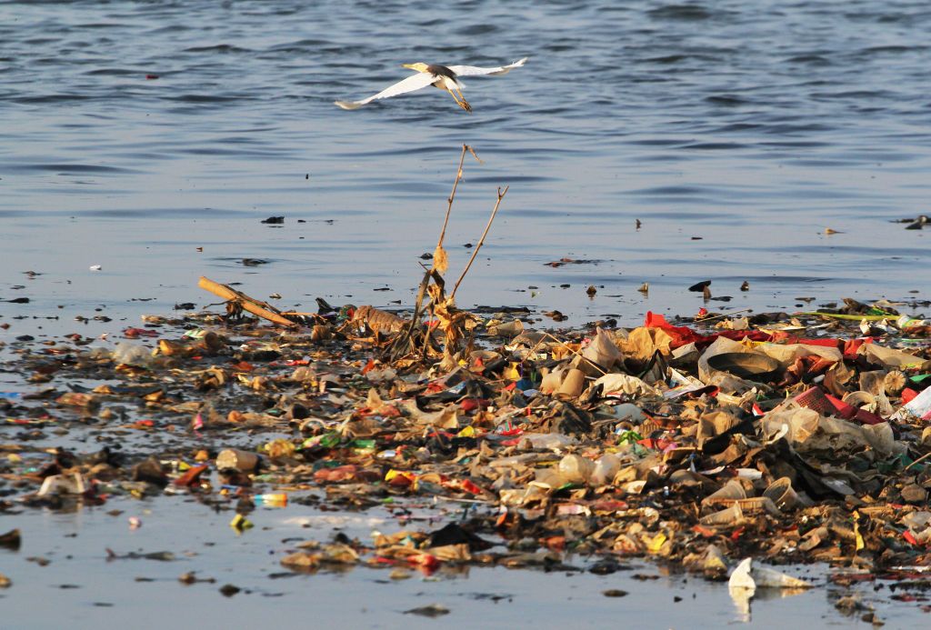 JAKARTA, INDONESIA - (ARCHIVE): A file photo dates July 11, 2023 shows a bird flies over a beach with full of garbage at Muara Angke Port, on the coast of Jakarta, Indonesia. According to data from the World Population Review, around 4.8 to 12.7 million metric tons of plastic enter the ocean each year. Based on the 2021 report, Indonesia is the fifth country with a contribution of 56,333 tons of marine waste each year. (Photo by Eko Siswono Toyudho/Anadolu via Getty Images)