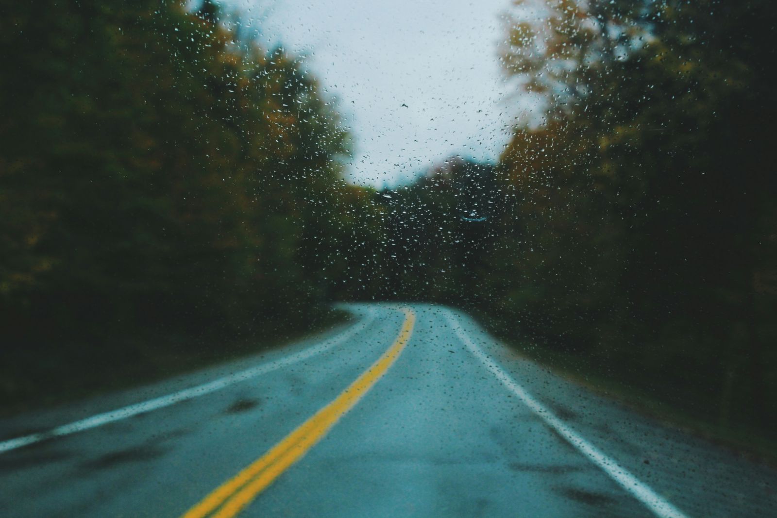 Want to go on a road trip during the rainy season? Here's where to go (Photo: Unsplash/Noah Silliman)