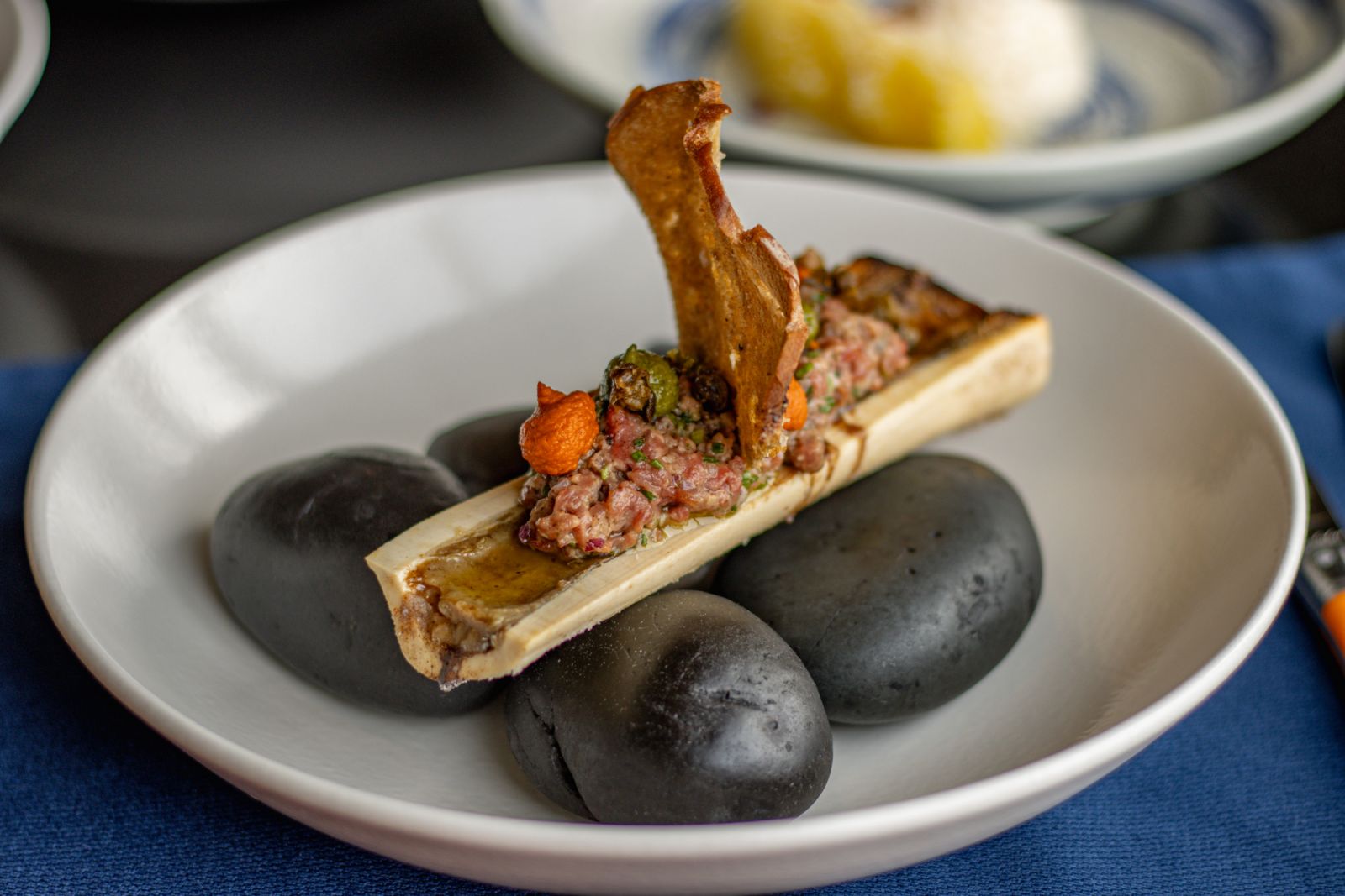 Bone marrow (Image: Banyan Tree)