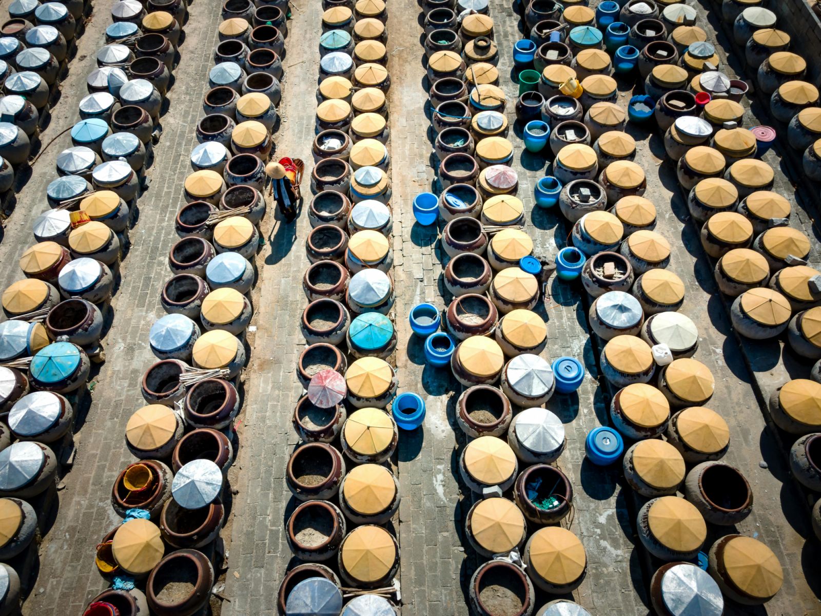 Fish sauce factory