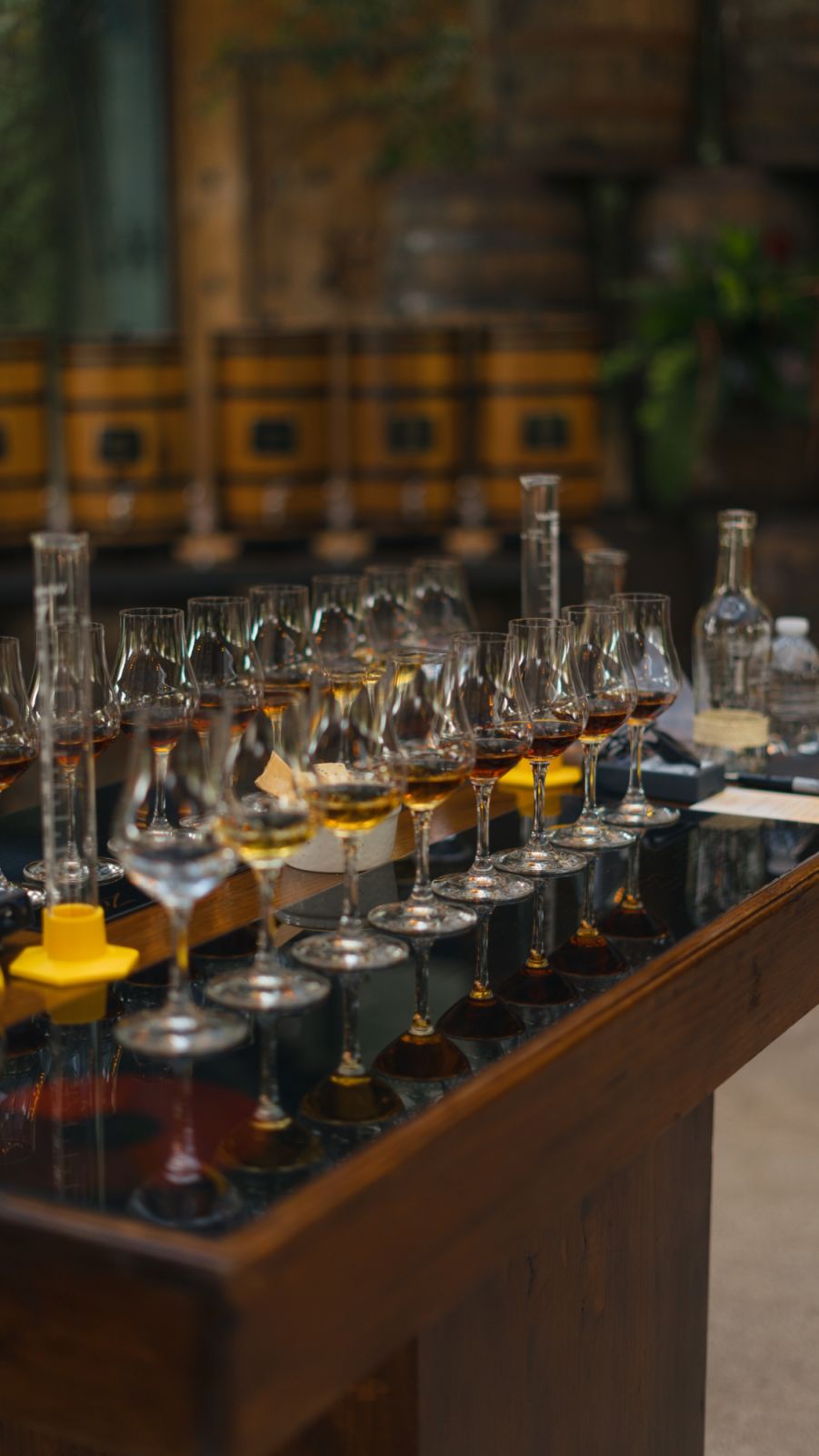 Blending experience at Villa Bokéh Zacapa rum Antigua Guatemala