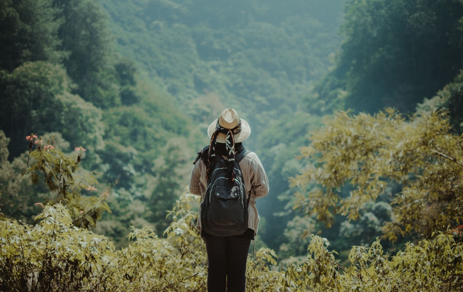 14 books for explorers who love nature and the outdoors