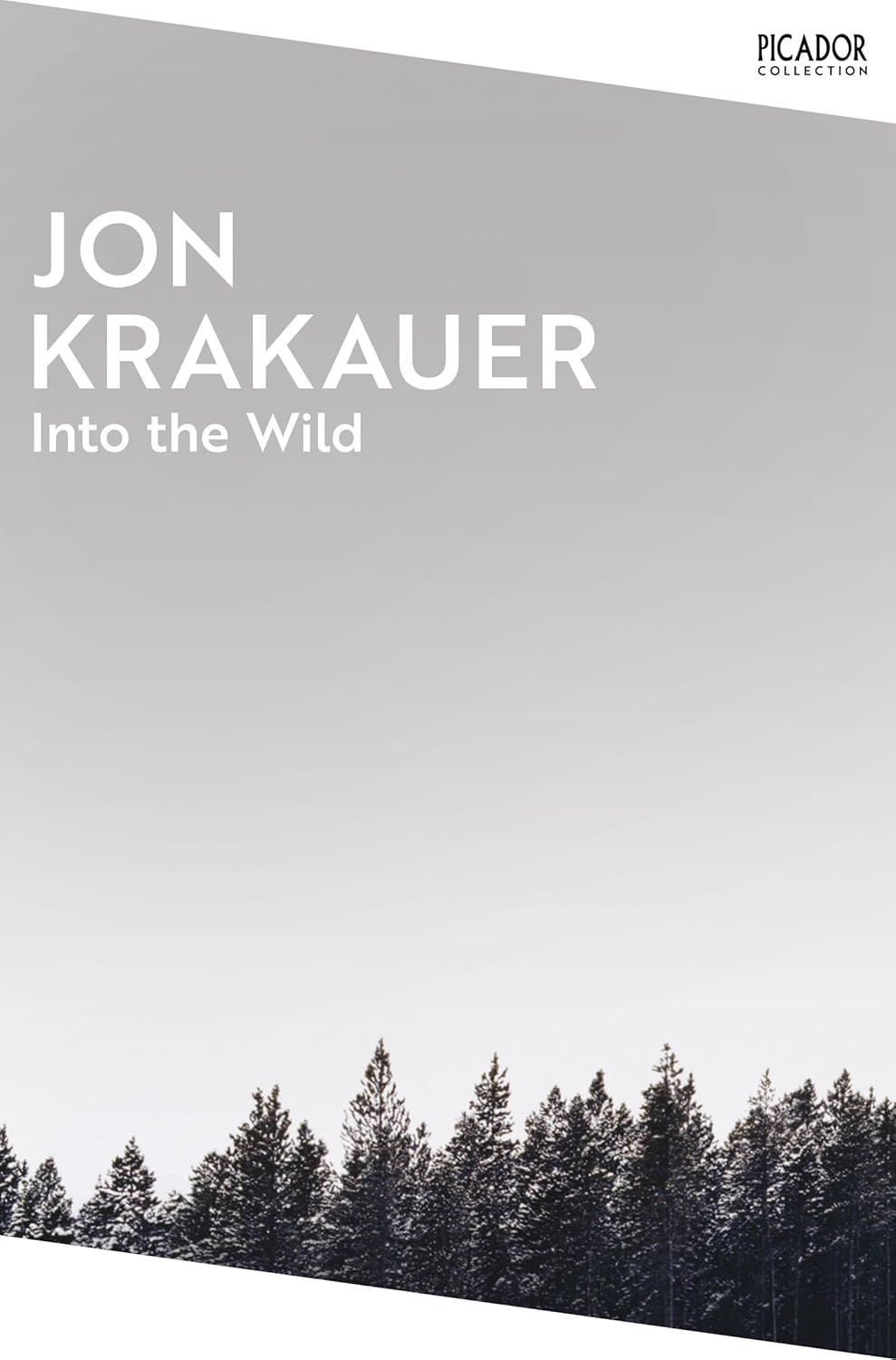 ‘Into the Wild’ by Jon Krakauer (Photo: Picador)