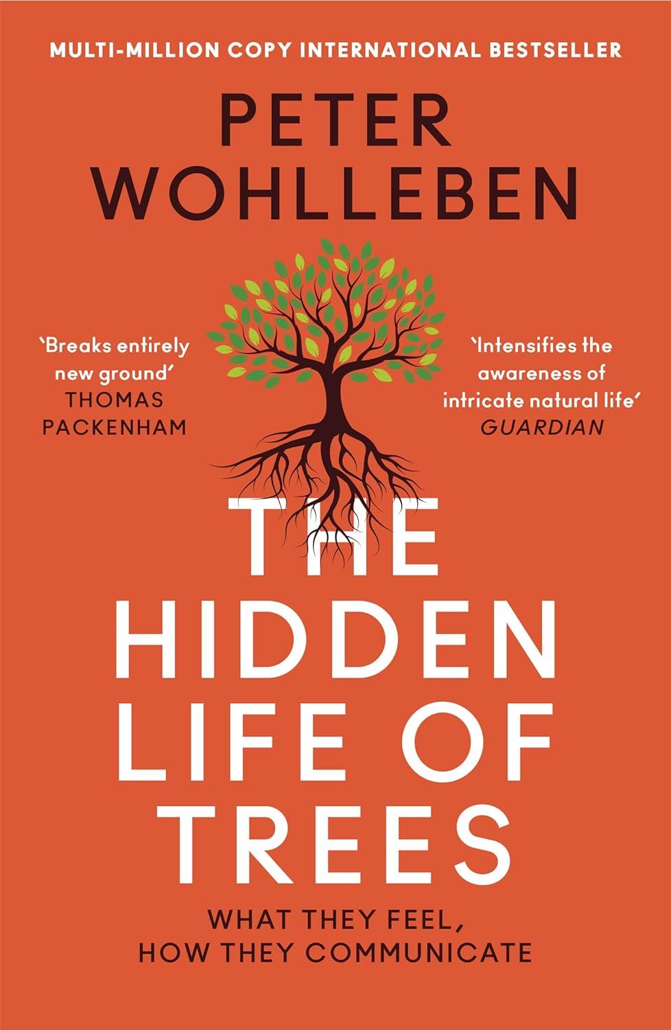 ‘The Hidden Life of Trees’ by Peter Wohlleben (Photo: William Collins)
