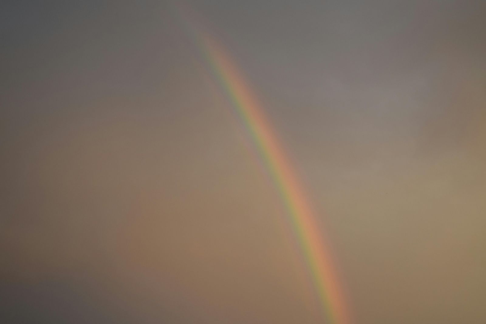 In UK, if it rains before 7, it means it will be gone by 11 (Photo: Kristina Kutleša/Pexels)