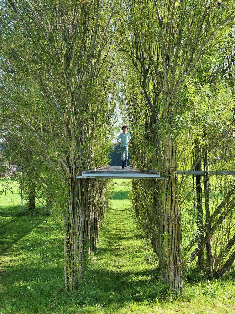 Der Steg aus Korbweide (Salix viminalis) wurde von den Architekten Ferdinand Ludwig und Oliver Storz sowie vom Bildhauer Cornelius Hackenbracht geplant und im April 2005 auf einer Riedwiese aufgestellt. Die Konstruktion besteht aus 64 senkrecht und 16 diagonal angeordneten Bündelstützen, die aus jeweils 12 bis 15 Pflanzen gebildet wurden. Diese Stützenstruktur trägt auf etwa 2,5 Metern Höhe eine begehbare Fläche und nimmt ein Edelstahlrohr auf, das als Handlauf dient. Durch die in regelmäßigen Abständen ang