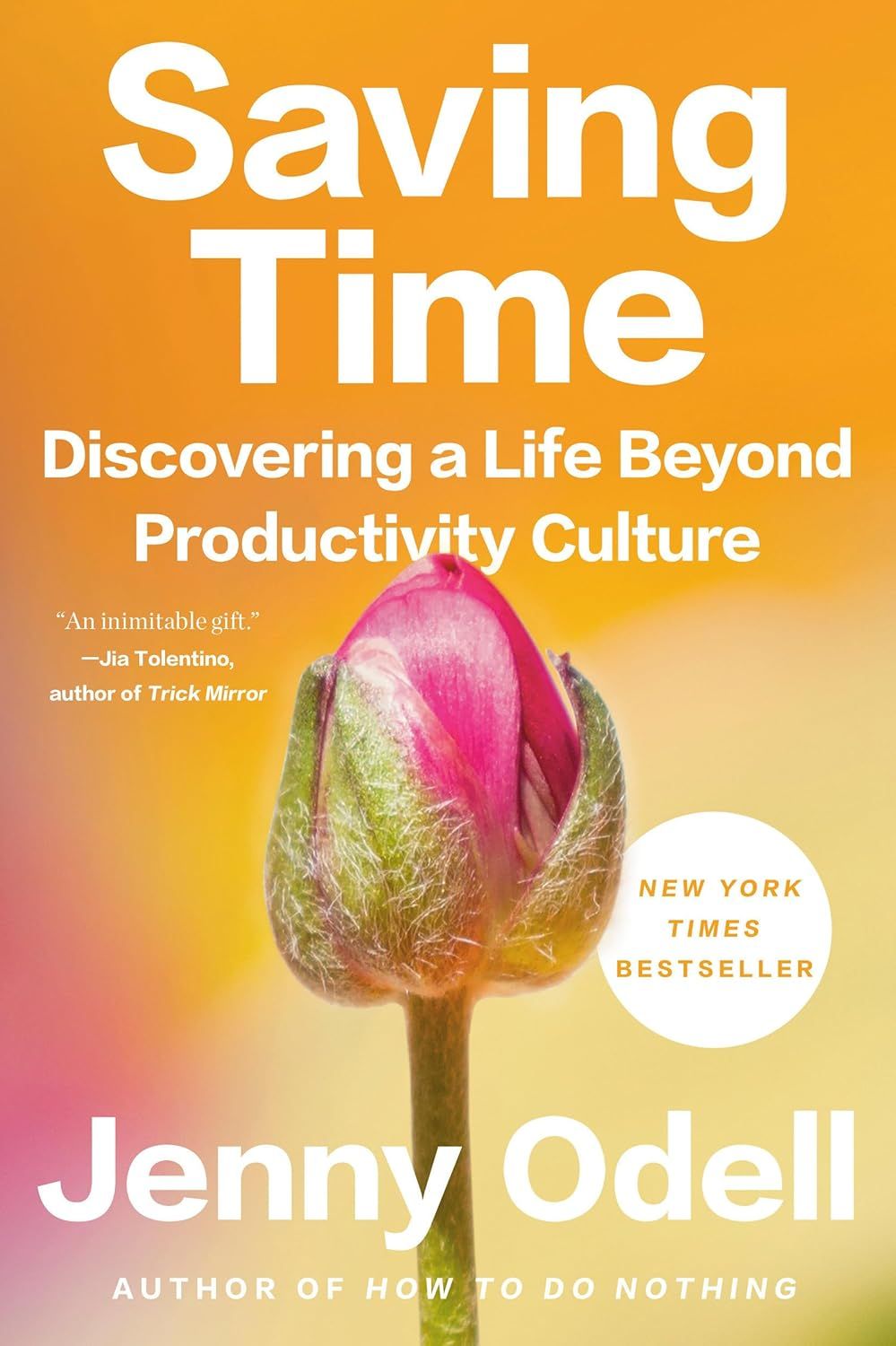 ‘Saving Time’ by Jenny Odell Random House Trade Paperbacks
