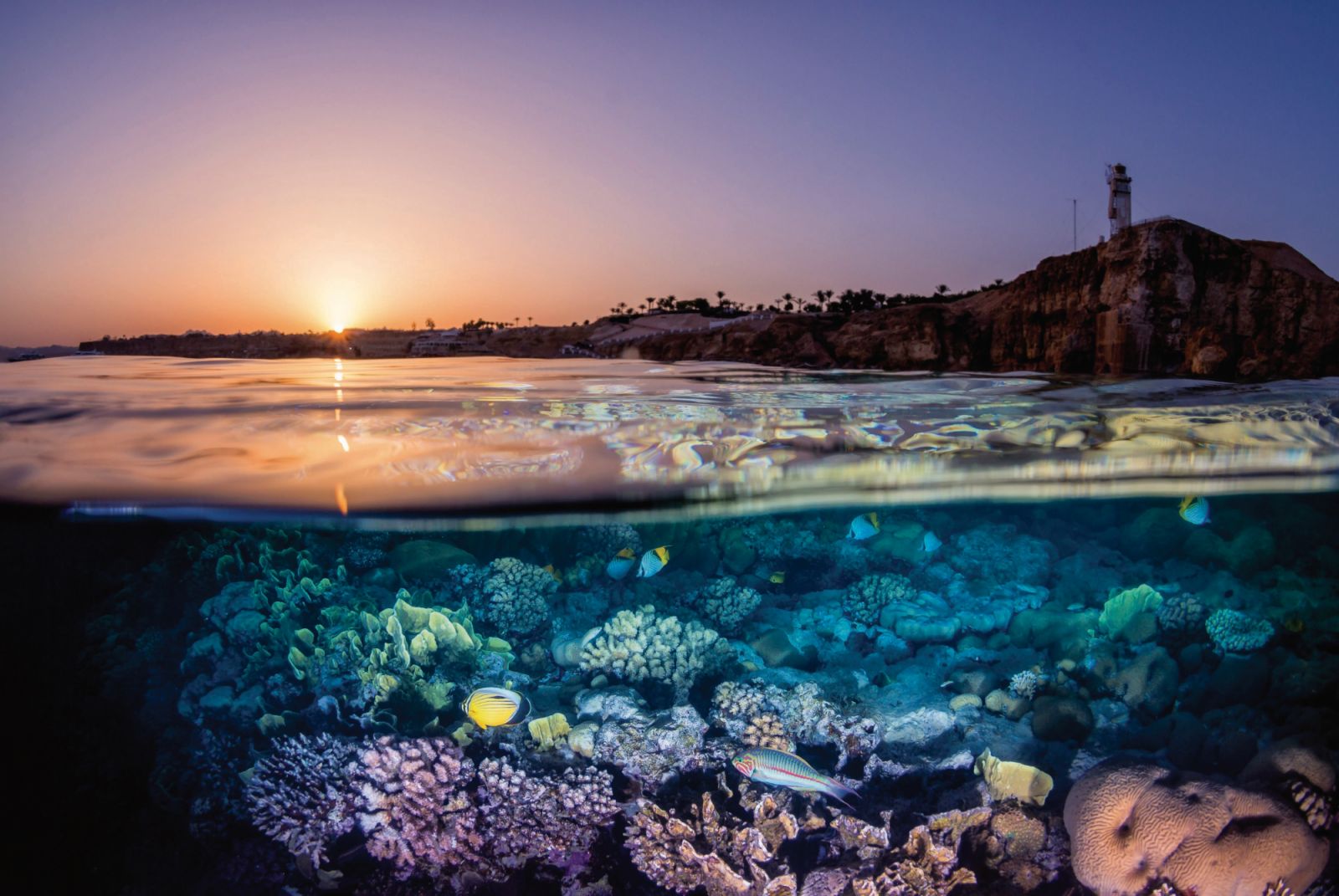 World Ocean Day falls on June 8 (Photo: courtesy of The Nature Conservancy / YM Michael Fung)