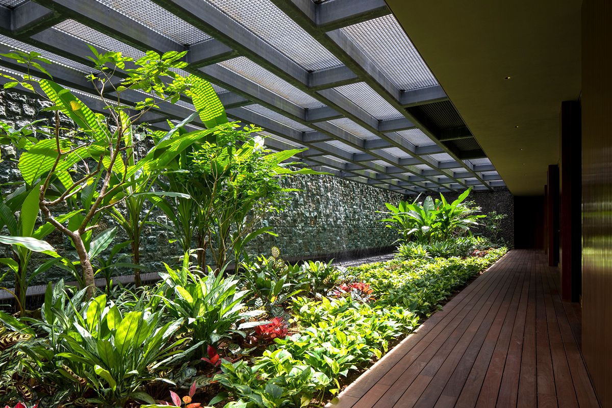 The daylit garden courtyard at the Moongate House’s basement