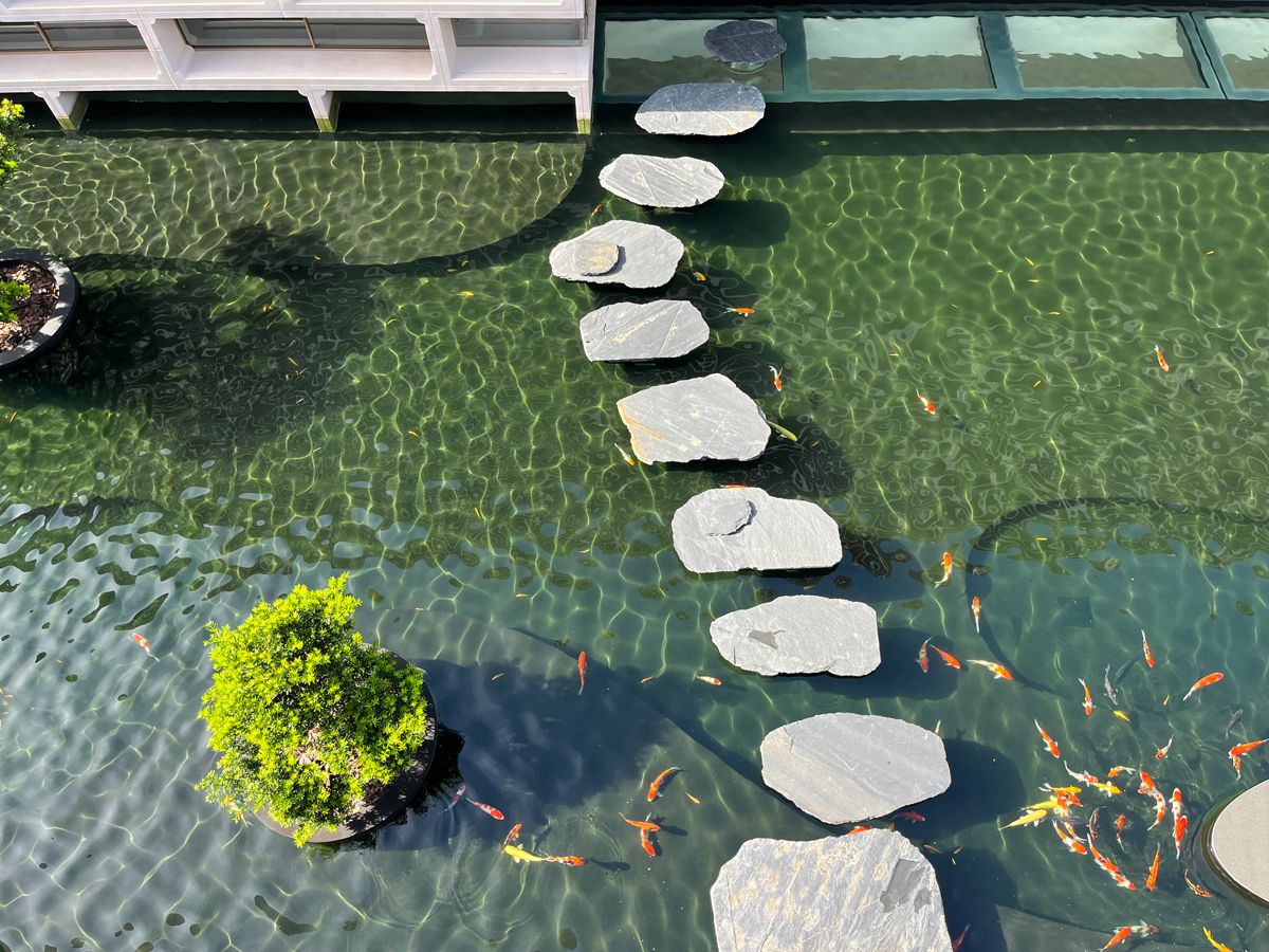 The koi pond is a biophilic element that provide a therapeutic calmness