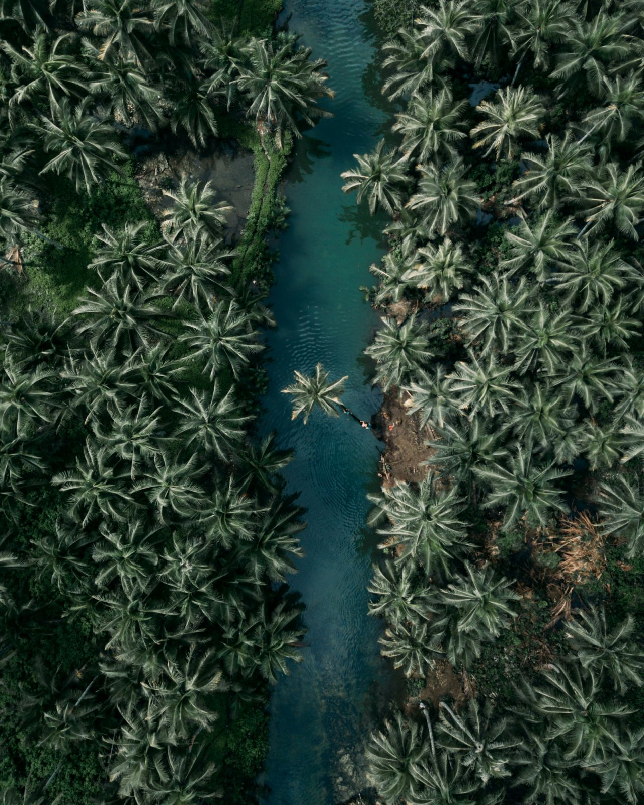 (Photo: Eibner Saliba/Unsplash)