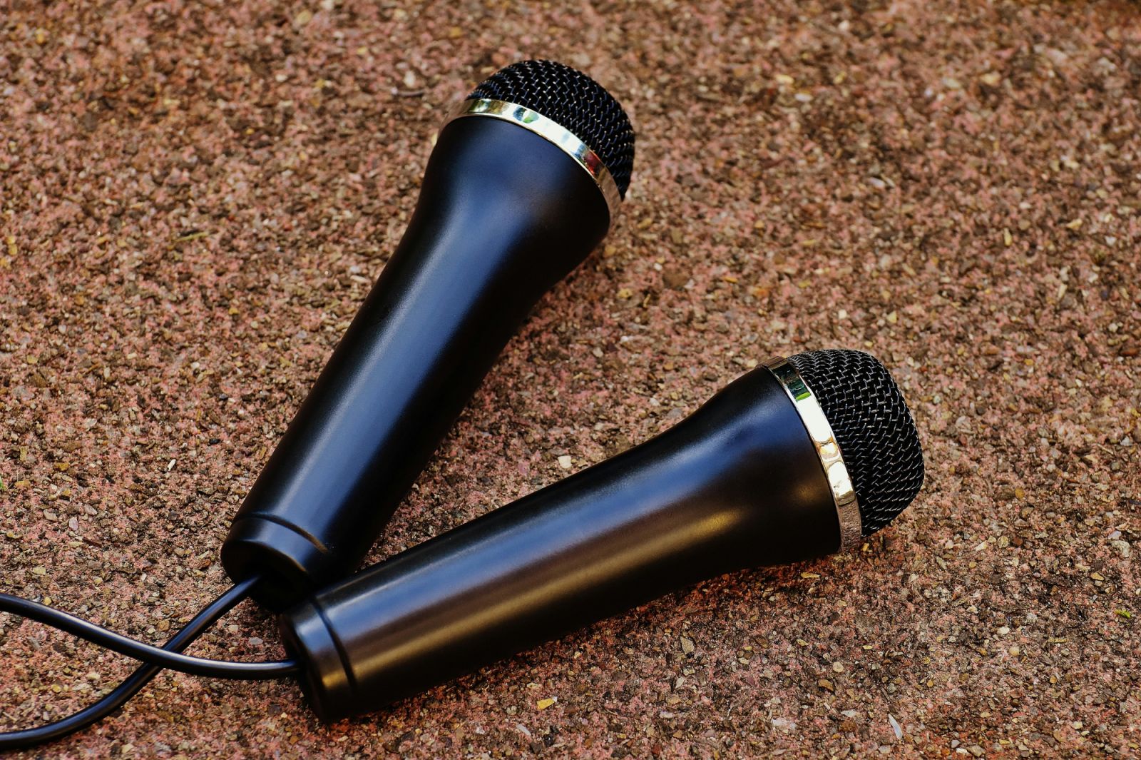 A typical Filipino family provides microphones for karaoke time at home (Photo: Pixabay/Pexels)