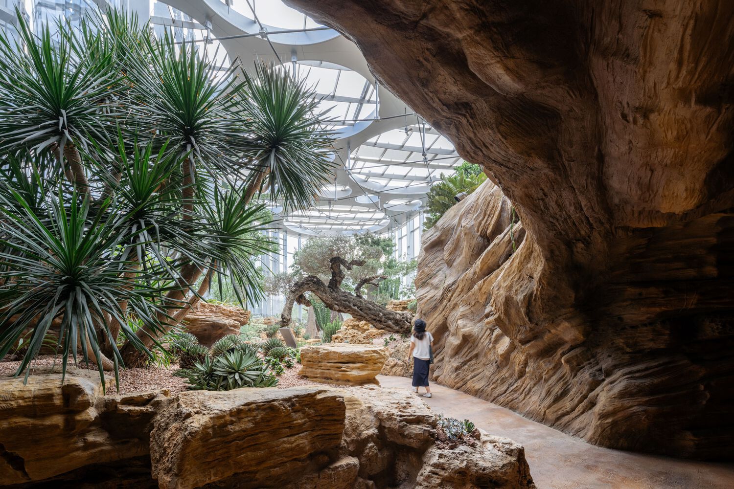 ภายใน Expo Cultural Park Greenhouse Garden ที่เซี่ยงไฮ้ สร้างพื้นที่จัดแสดงพืชพรรณและกิจกรรมทางวัฒนธรรม (ภาพ: archdaily.com)