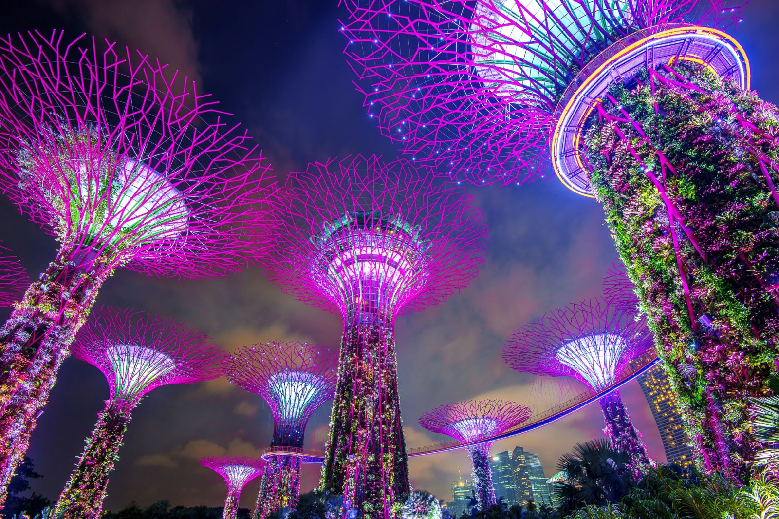 Gardens by the Bay โดดเด่นด้วย Supertrees ยักษ์และโดมเรือนกระจกขนาดใหญ่อย่าง Cloud Forest และ Flower Dome ที่เป็นสถาปัตยกรรมแห่งอนาคต (ภาพ: Getty Images)