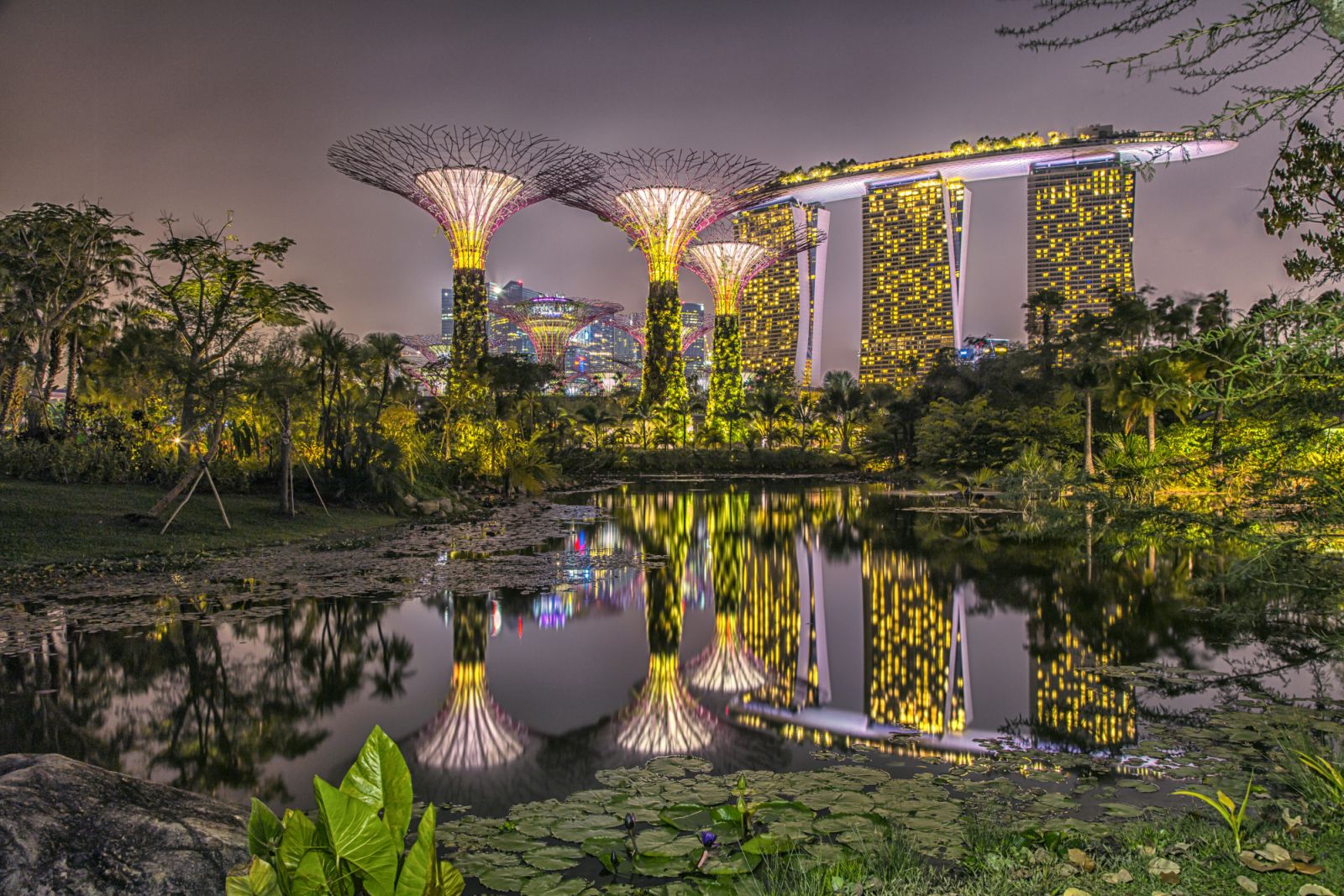 Gardens by the Bay โดดเด่นด้วย Supertrees ยักษ์และโดมเรือนกระจกขนาดใหญ่อย่าง Cloud Forest และ Flower Dome ที่เป็นสถาปัตยกรรมแห่งอนาคต (ภาพ: Getty Images)
