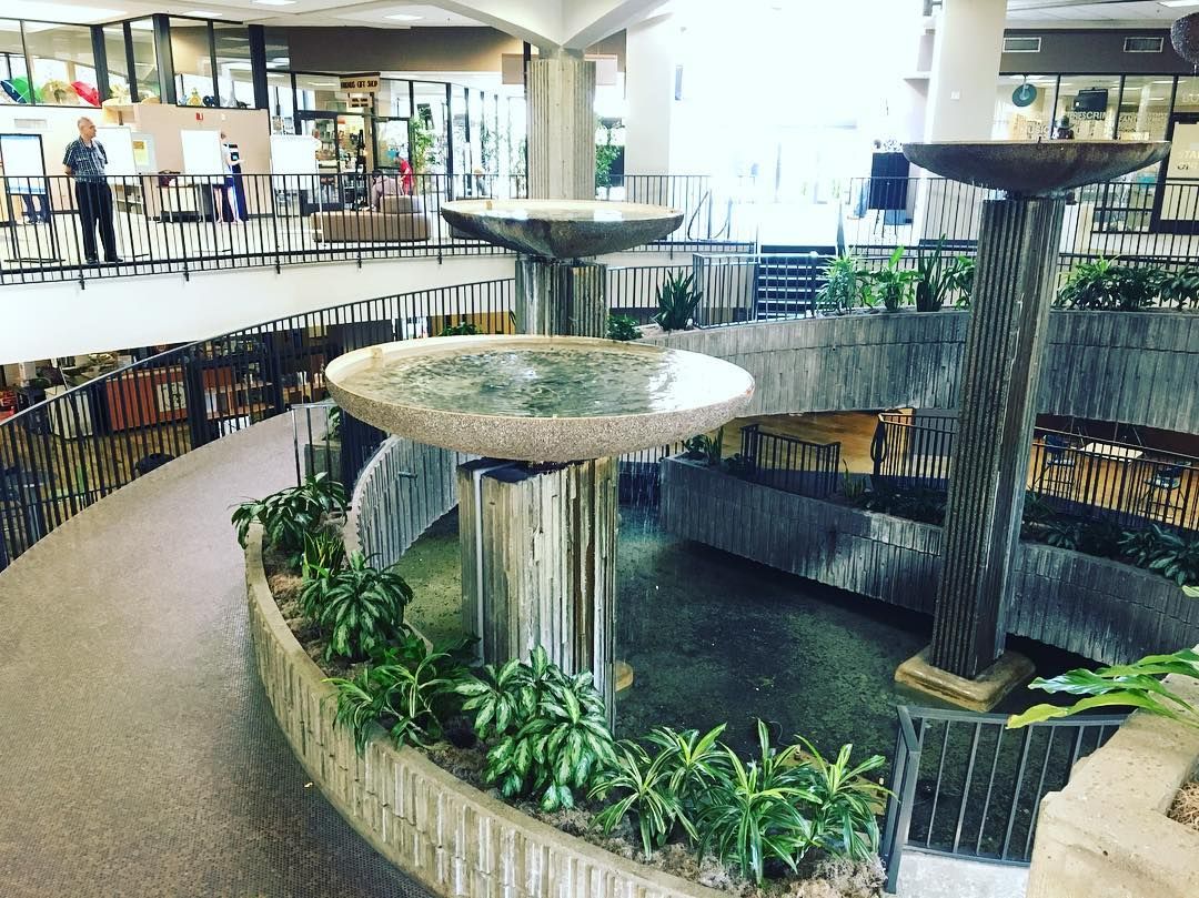 The Huntington Beach Public Library was designed to incorporate the natural landscape surrounding (Photo: Instagram / @califrnia_dreamin)
