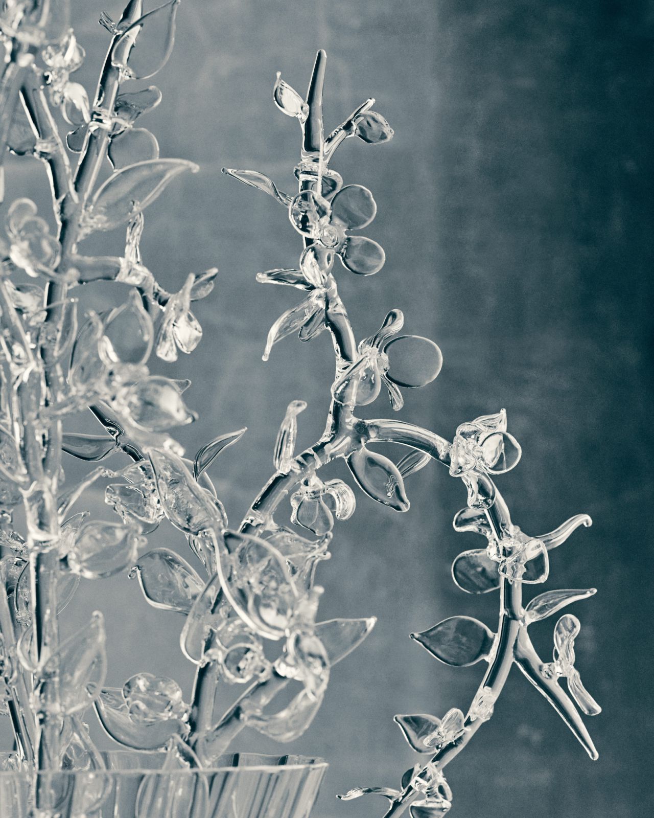 The collection transforms the poetry of nature’s forms into sculptural mouth-blown glass vessels