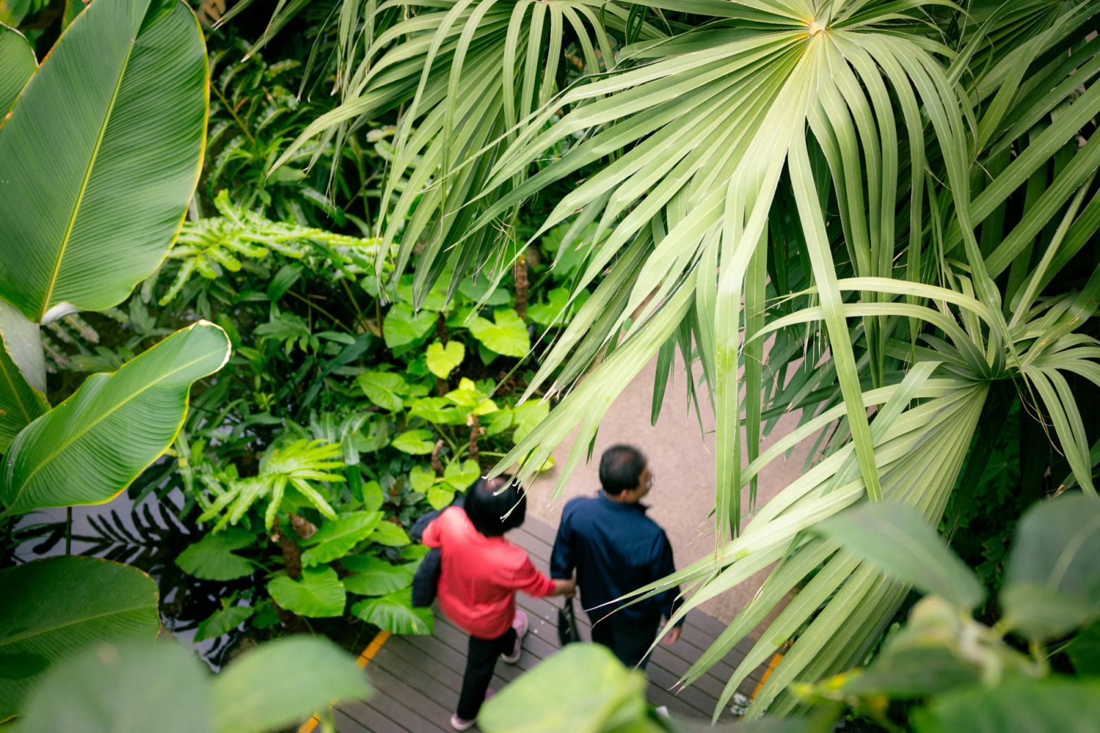 (Photo: Inyoung Jung / Unsplash)