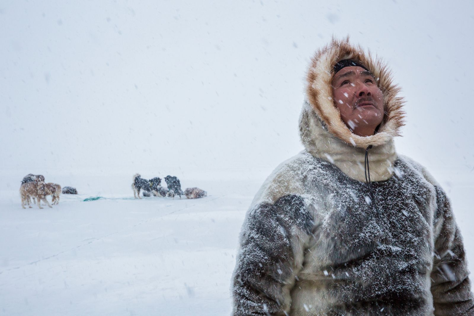 An Inuit hunter looks up at the first snow of spring. The sight of falling snow brings hope to the Inuit hunters of Greenland, who depend on the seasonal ebb and flow of sea ice to feed their families. Indigenous communities remain the last vestiges of humanity's intricate connection to the Earth's primordial operating system.