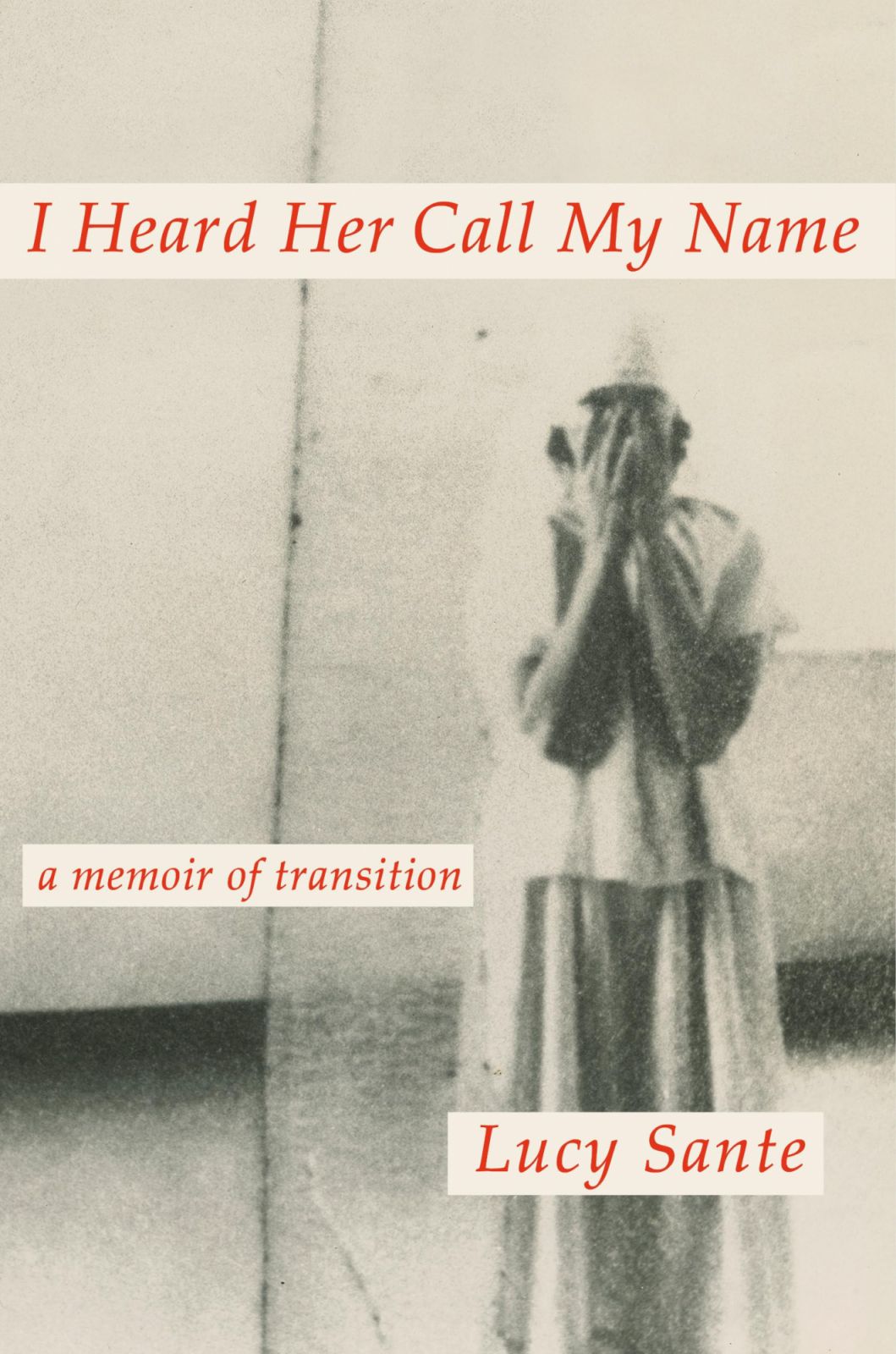 "I Heard Her Call My Name: A Memoir of Transition" by Lucy Sante