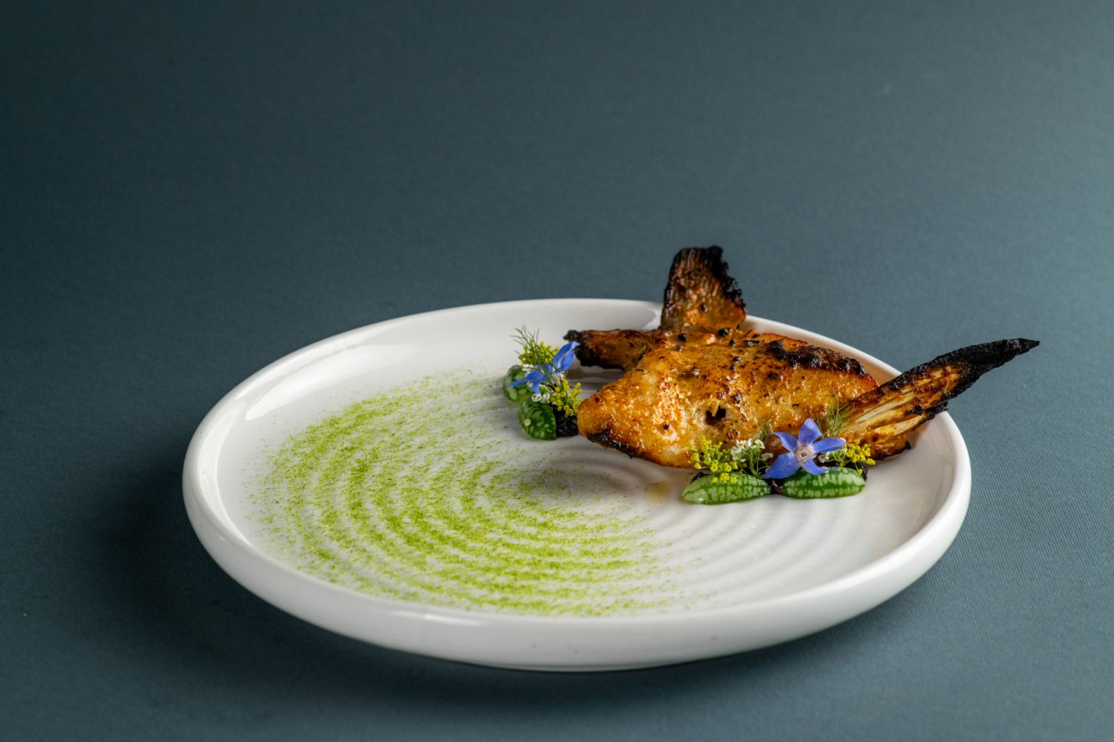 Hamachi Collar (Photo: Jwala)