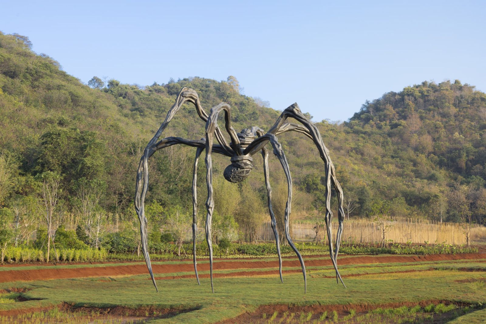 Khaoyai Art Forest