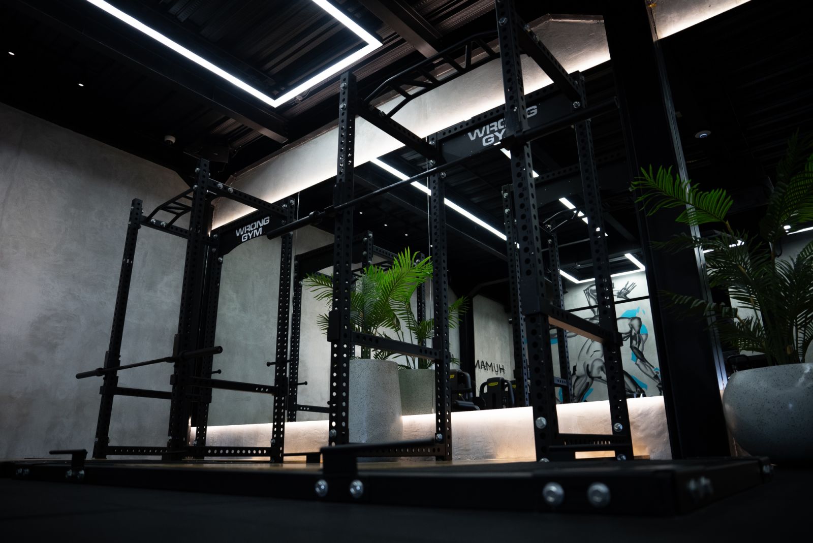 The custom Wrong Gym power rack anchors the strength training zone