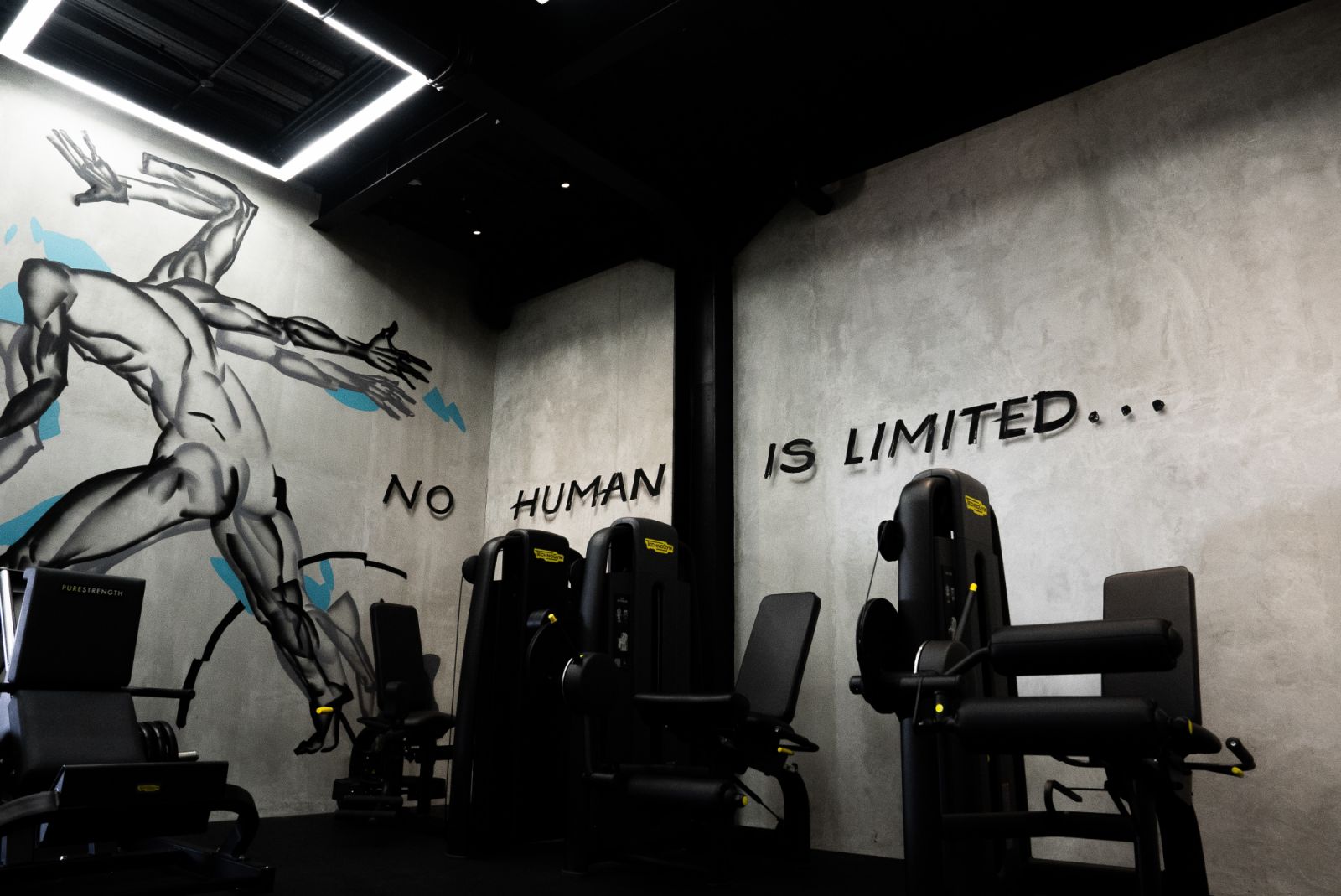 Wrong Gym’s core philosophy of pushing past perceived boundaries