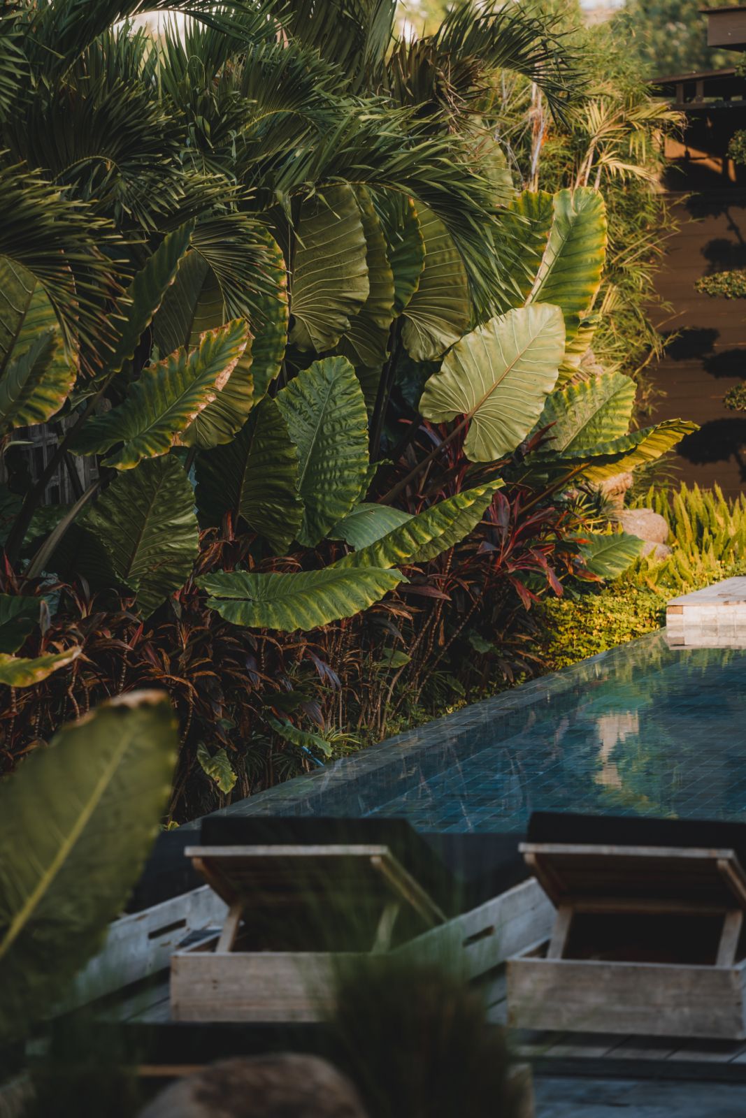 The outdoor pool area brings Bali’s tropical serenity into the Wrong Gym experience