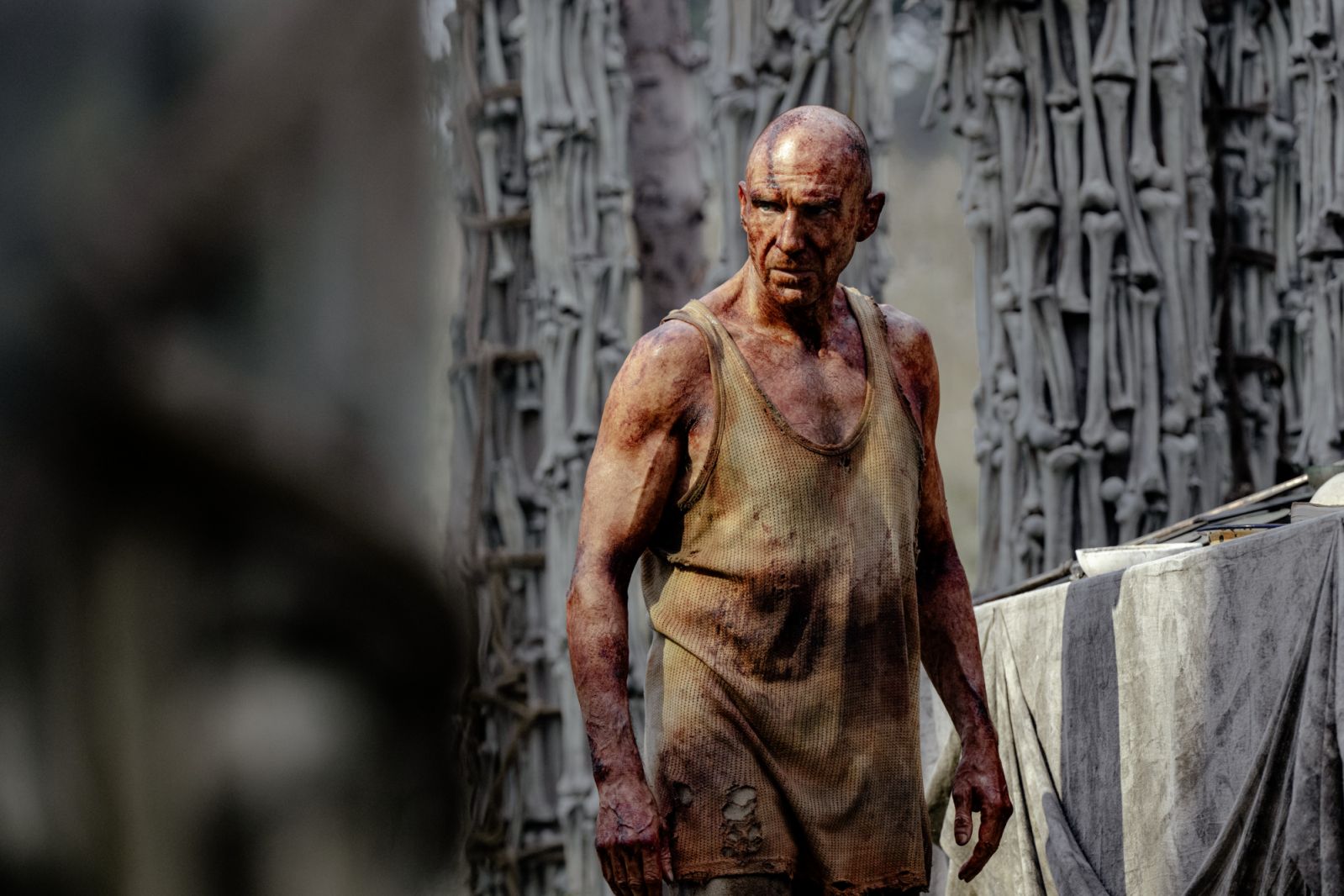 Dr Ian Kelson (Ralph Fiennes) in 28 Years Later