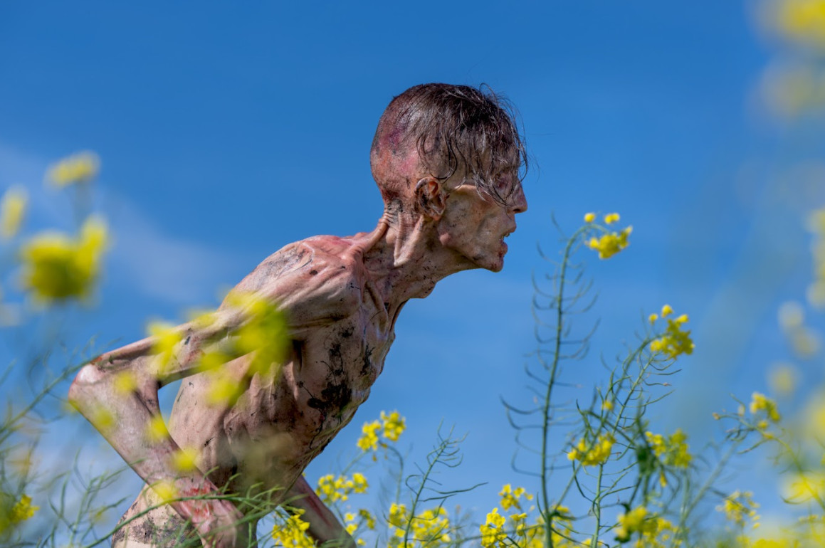 The zombies are seemingly sentient in 28 Years Later