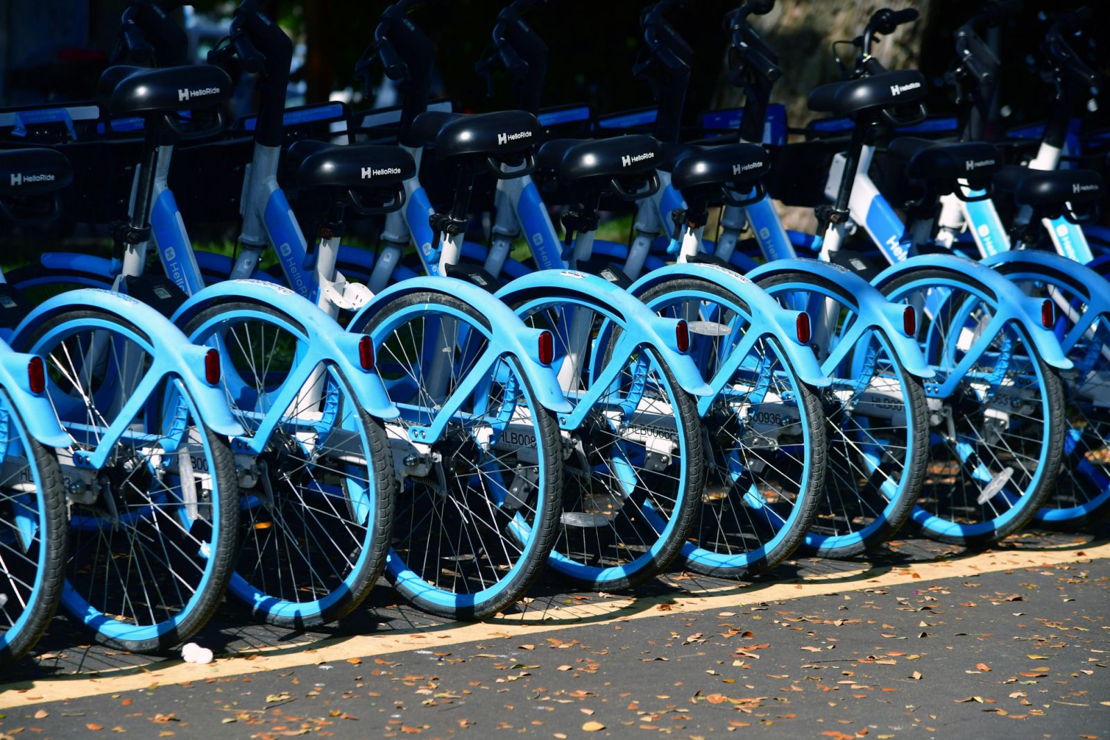 Bikes