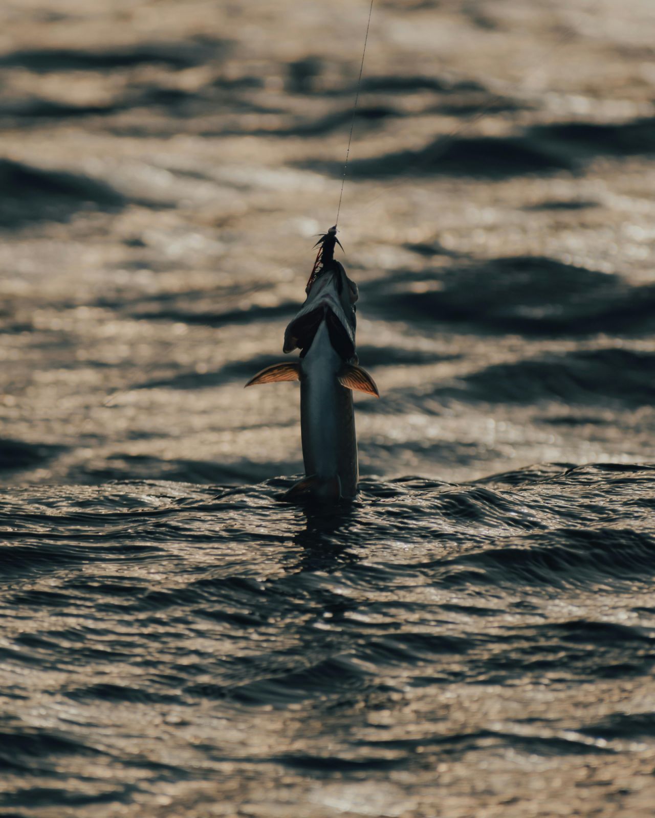 A beginner’s guide to fishing | Tatler Asia