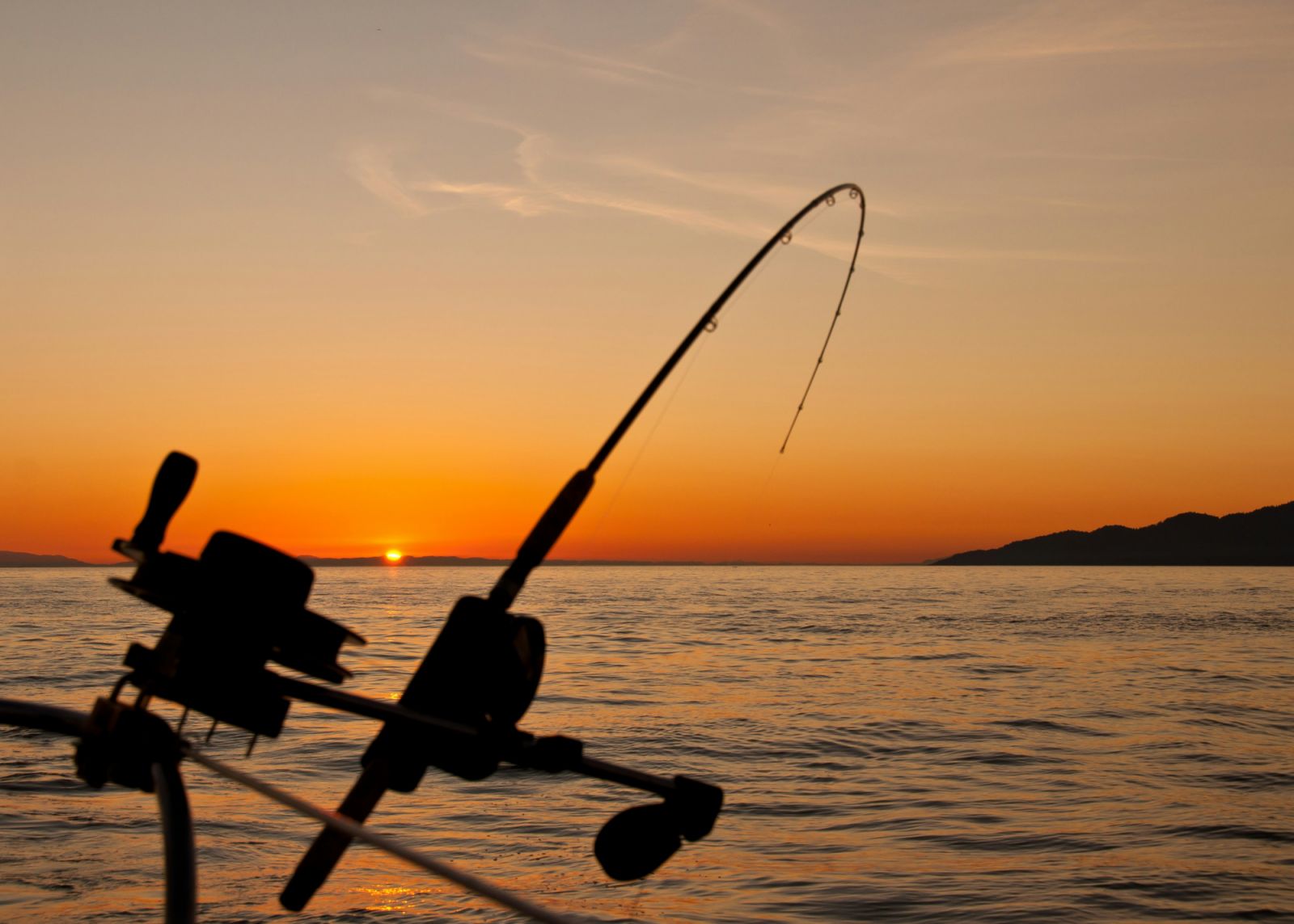 A fishing rod under the sunset (Photo: Unsplash/James Wheeler)