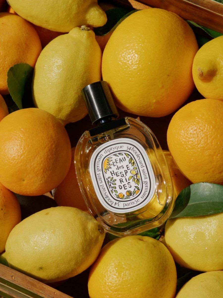 L’Eau des Hespérides Eau de Toilette is the centrepiece of the collection (photo: diptyque)