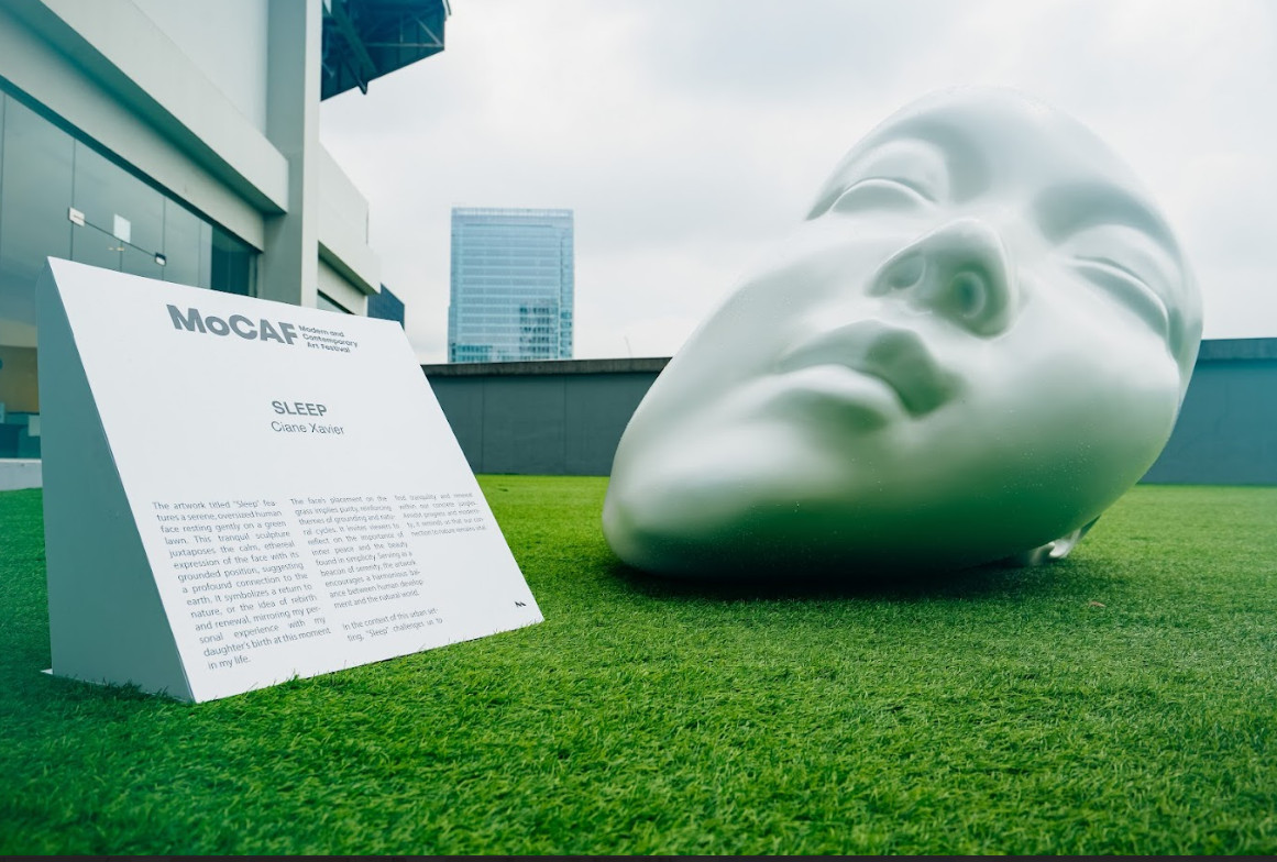 Celine Xavier's 'Sleep' displayed in MoCAF last year (Photo: MoCAF)