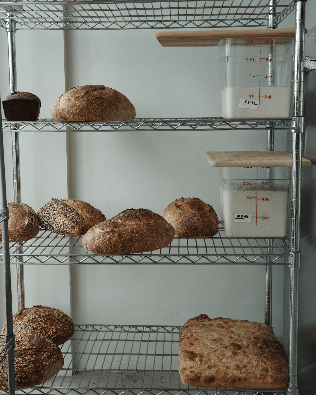Goods from Scratch - Tatler Dining Interview (Photo: Renzo Navarro)