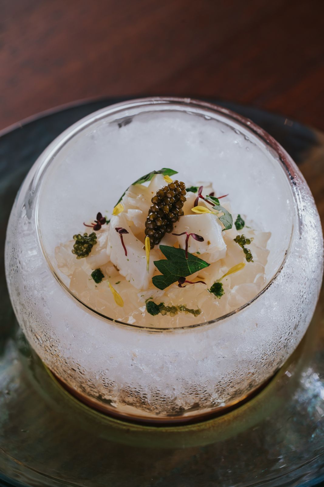 Aori Ika, a type of squid, best eaten in the summer (Image: Hoshi) omakase