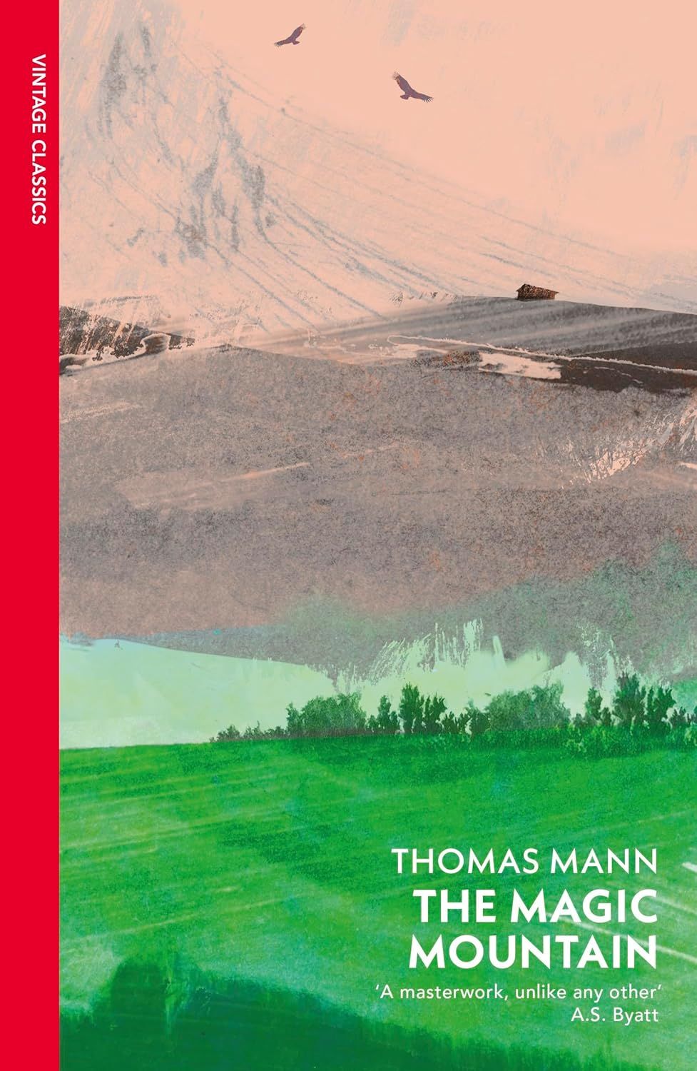 ‘The Magic Mountain’ by Thomas Mann (Photo: Vintage Classics)