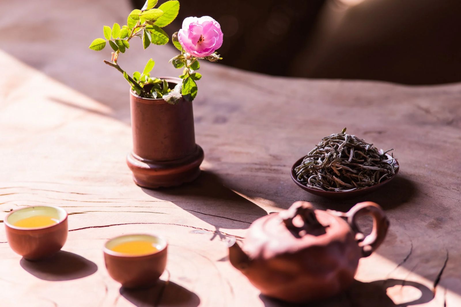 Hương trà Tà Xùa Sơn La nồng nàn, thấm đẫm hương vị đất trời Tây Bắc. Ảnh: Shan tea