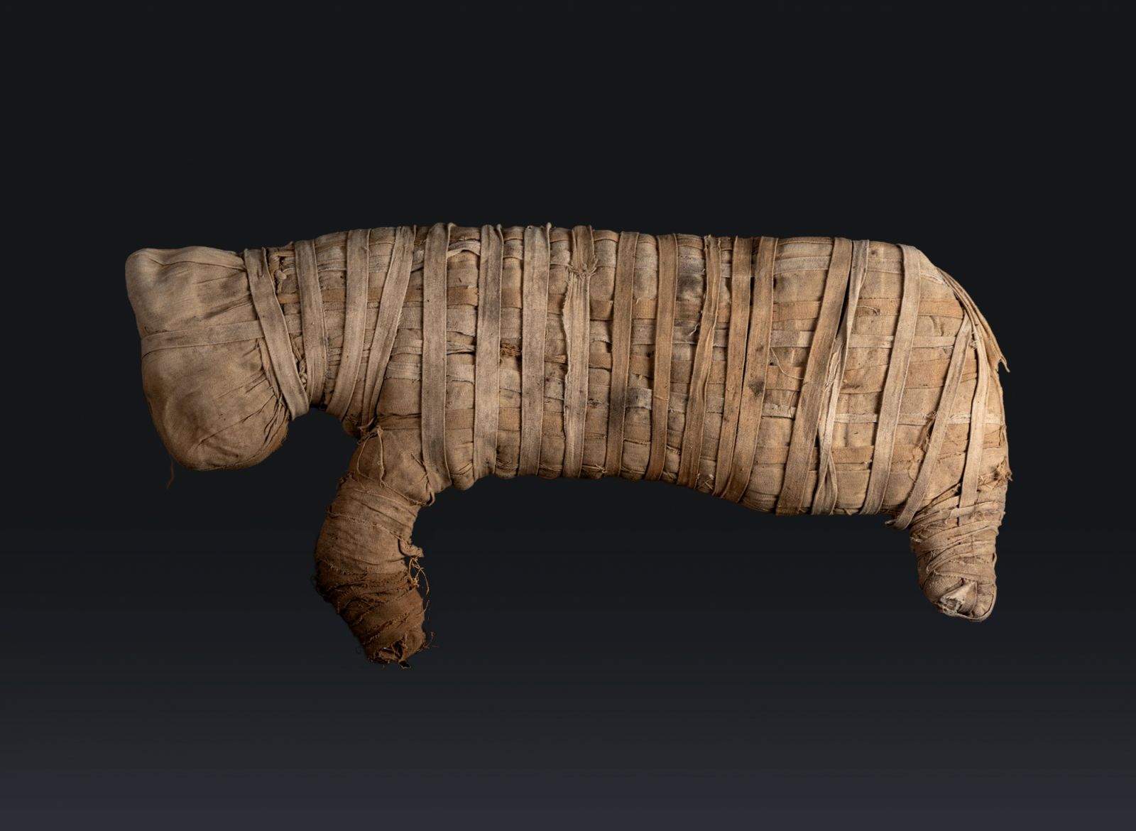 Ancient Egypt Unveiled: Treasures from Egyptian Museums
