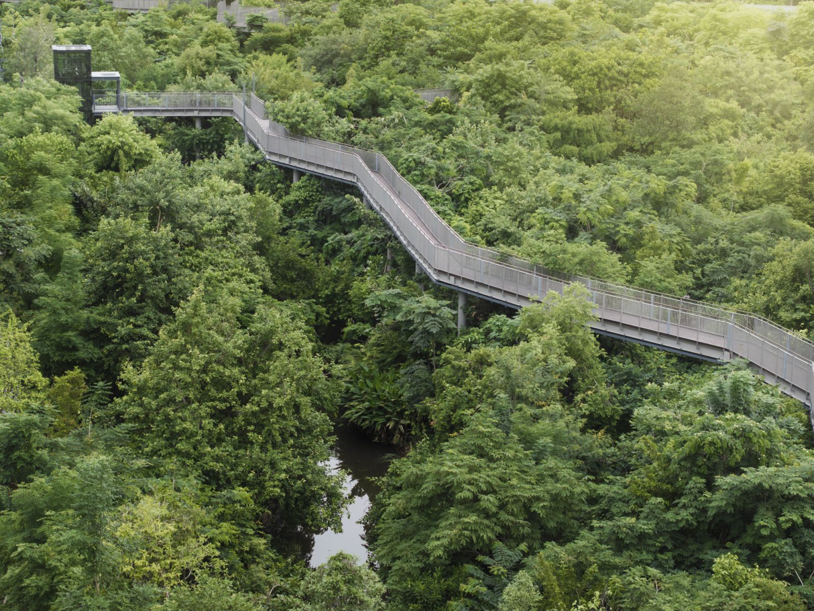 Managed by Savills, Bangkok’s Forestias development by MQDC integrates a lush private forest