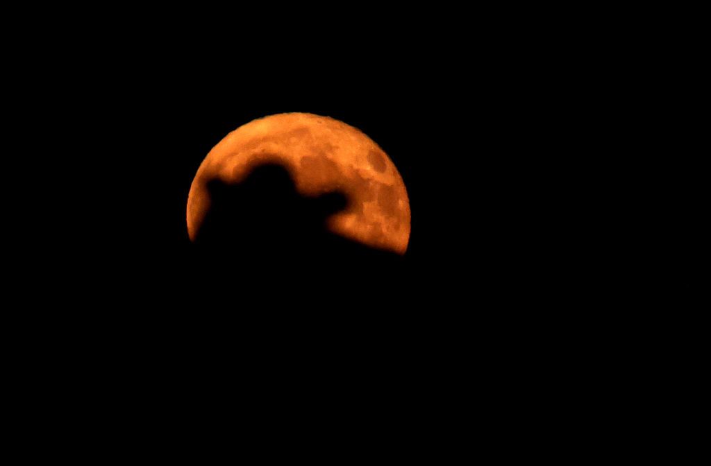 PRODUCTION - 11 June 2025, Bavaria, Bernbeuren: A cow lies in a pasture in front of the rising "strawberry moon". Photo: Karl-Josef Hildenbrand/dpa (Photo by Karl-Josef Hildenbrand/picture alliance via Getty Images)