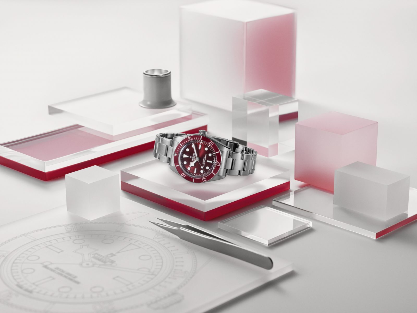 Ảnh: TUDOR