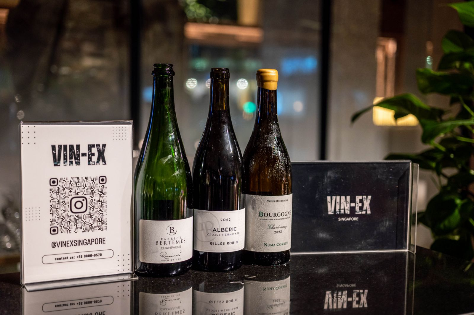 A curated selection of wines by Vin-Ex Wines & Spirits, elegantly presented for guests to enjoy throughout the evening