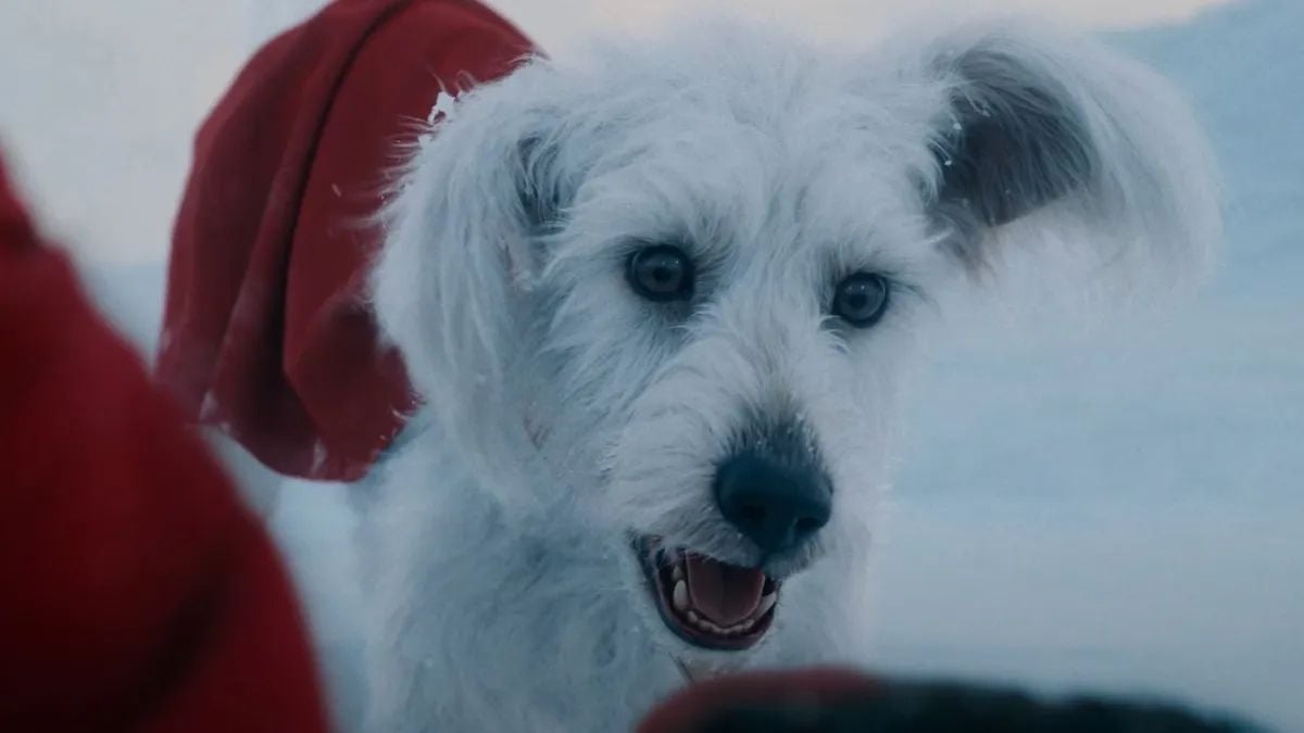 Krypto the Super Dog is modelled after James Gunn's real-life adopted dog "Ozu" (Photo: Warner Bros)
