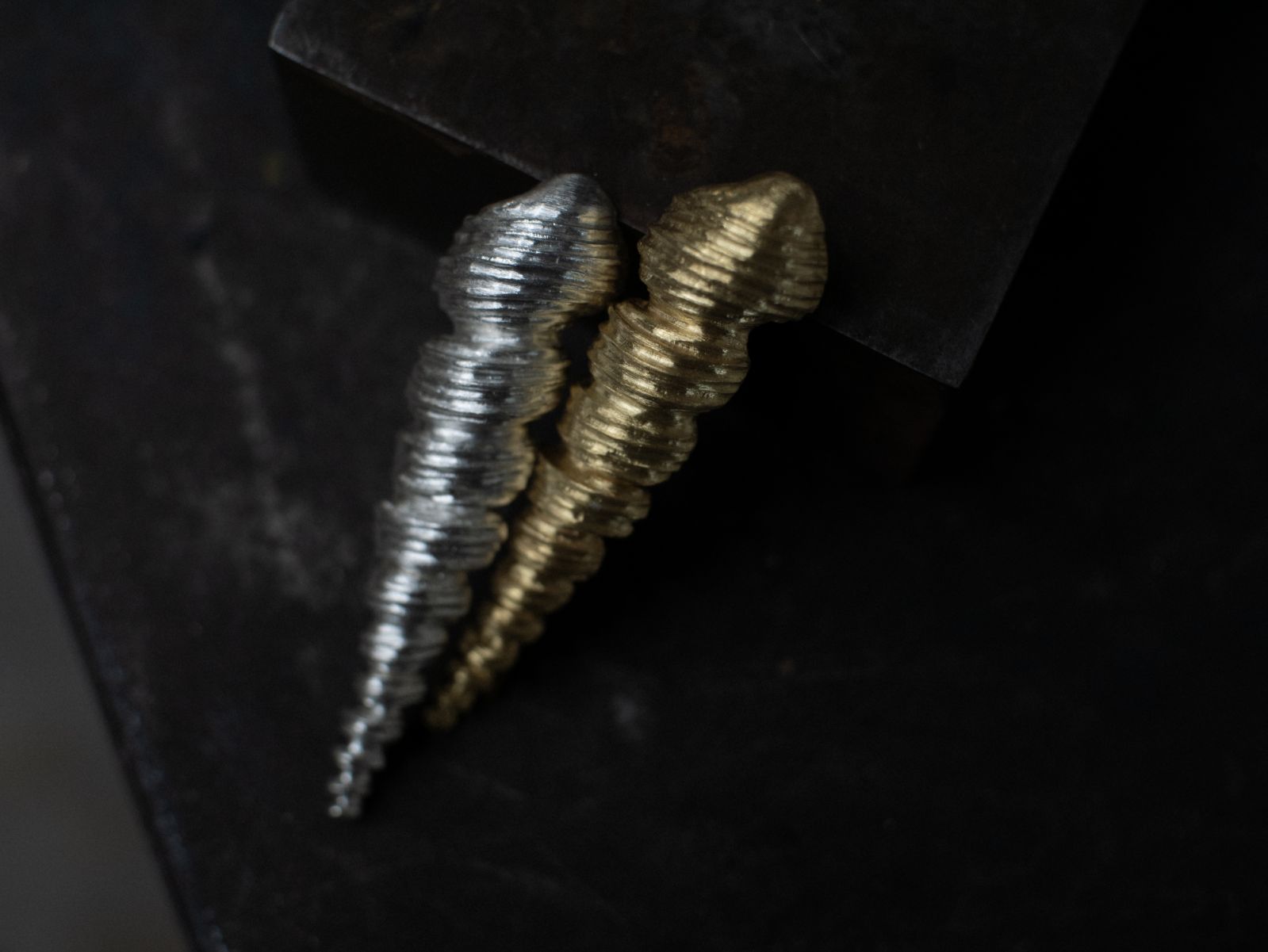 'Turritella Terebra hair clip' by Tzu Lin on exhibition at Aphro Living (Photo: Studio 925)