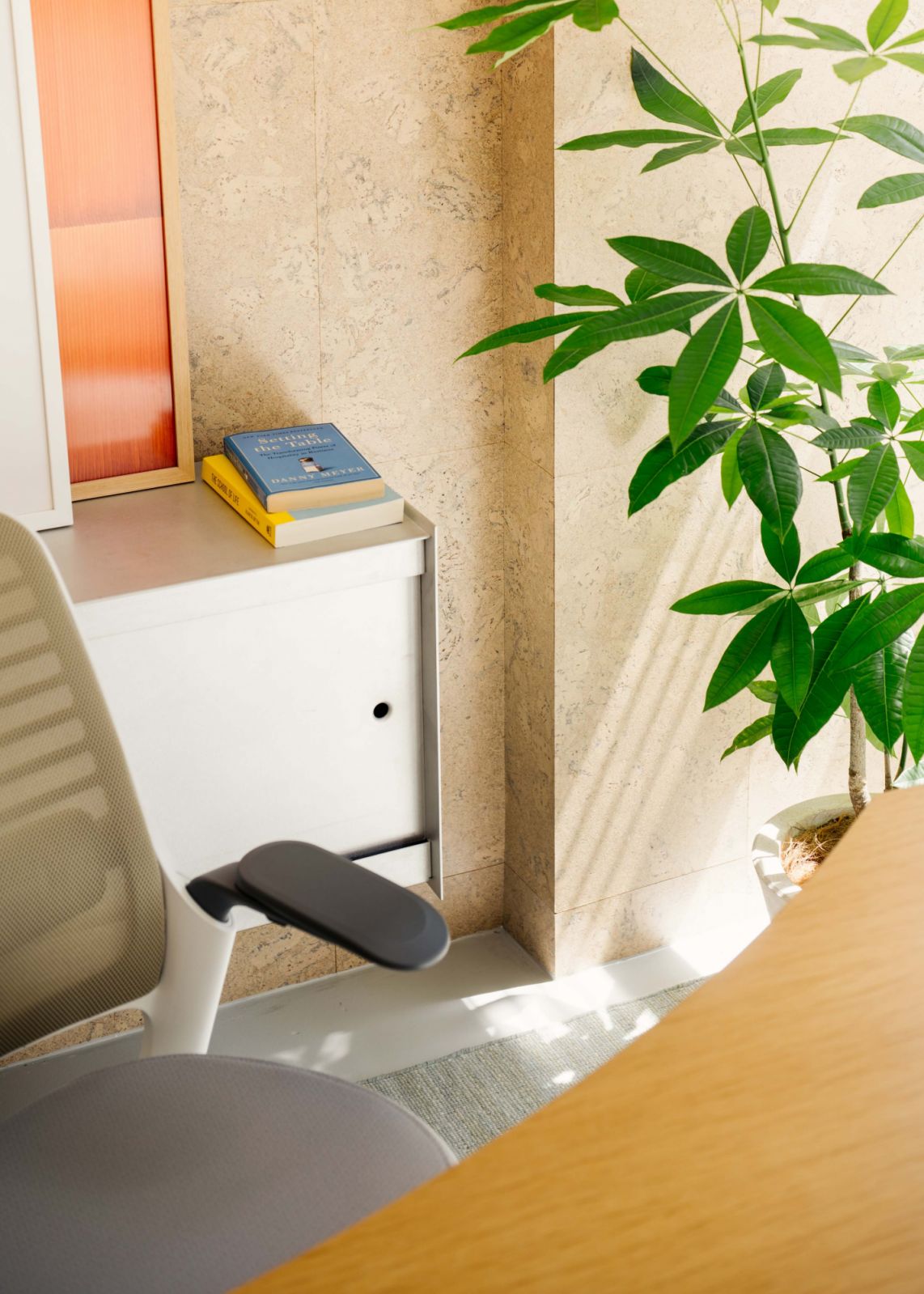 A potted plant lends a biophilic touch to this corner