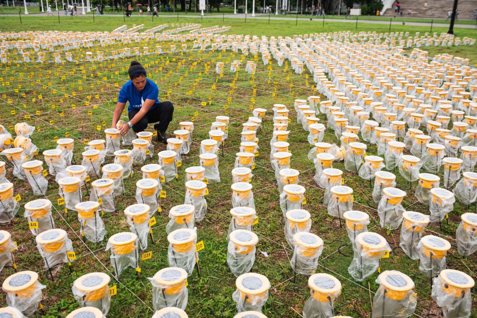 Setting up the solar-powered lamps for the Guinness World Record (Photo: Liter of Light Global Foundation)
